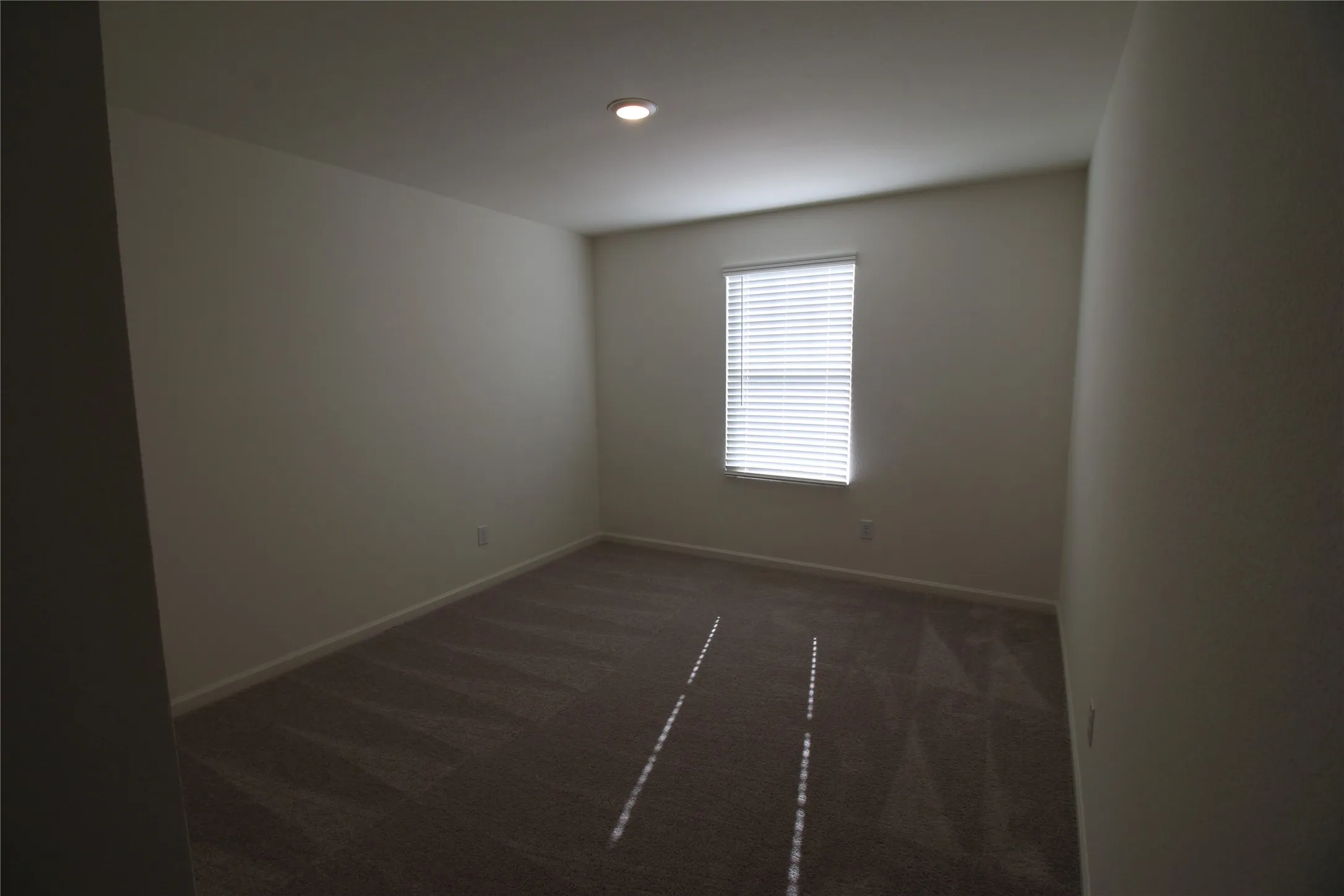 Single Family Residence For Rent in Kaufman County , 1221 Herring Drive, Forney, Texas 75126, 4 Bedroom, 3 Bathroom, 2 Garage spaces, 2,338 Sqft, built in 2026, mls#21296155, Real Estate Agent in Forney, Homes For Rent in Kaufman county, Homes For Rent in Forney, Realtor in Forney Texas, Real Estate Brokerage Independent Realty Texas, Luminita Cordes Realtor