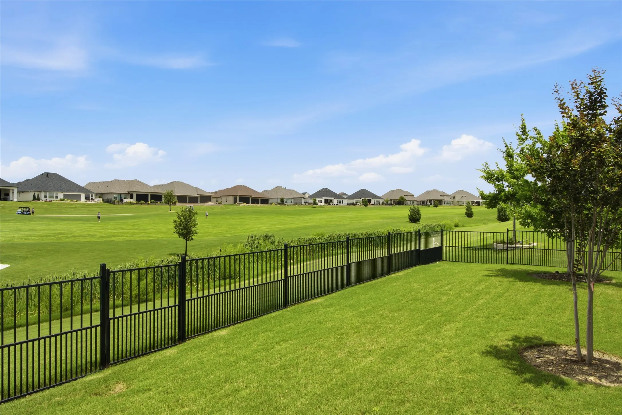 Backyard with puppy fencing