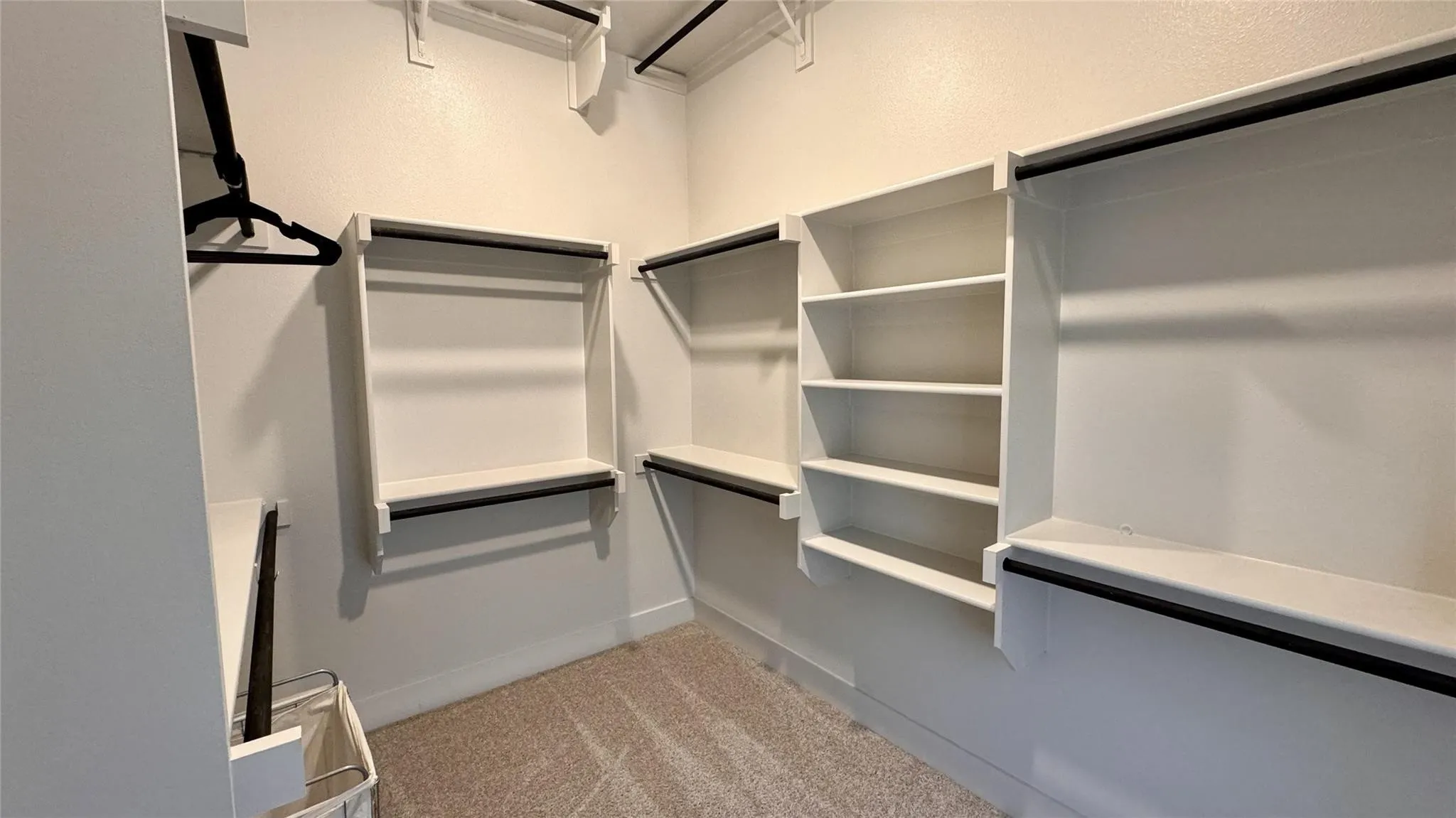 Spacious walk-in closet featuring built-in shelving, multiple hanging rods, and light-toned carpet flooring
