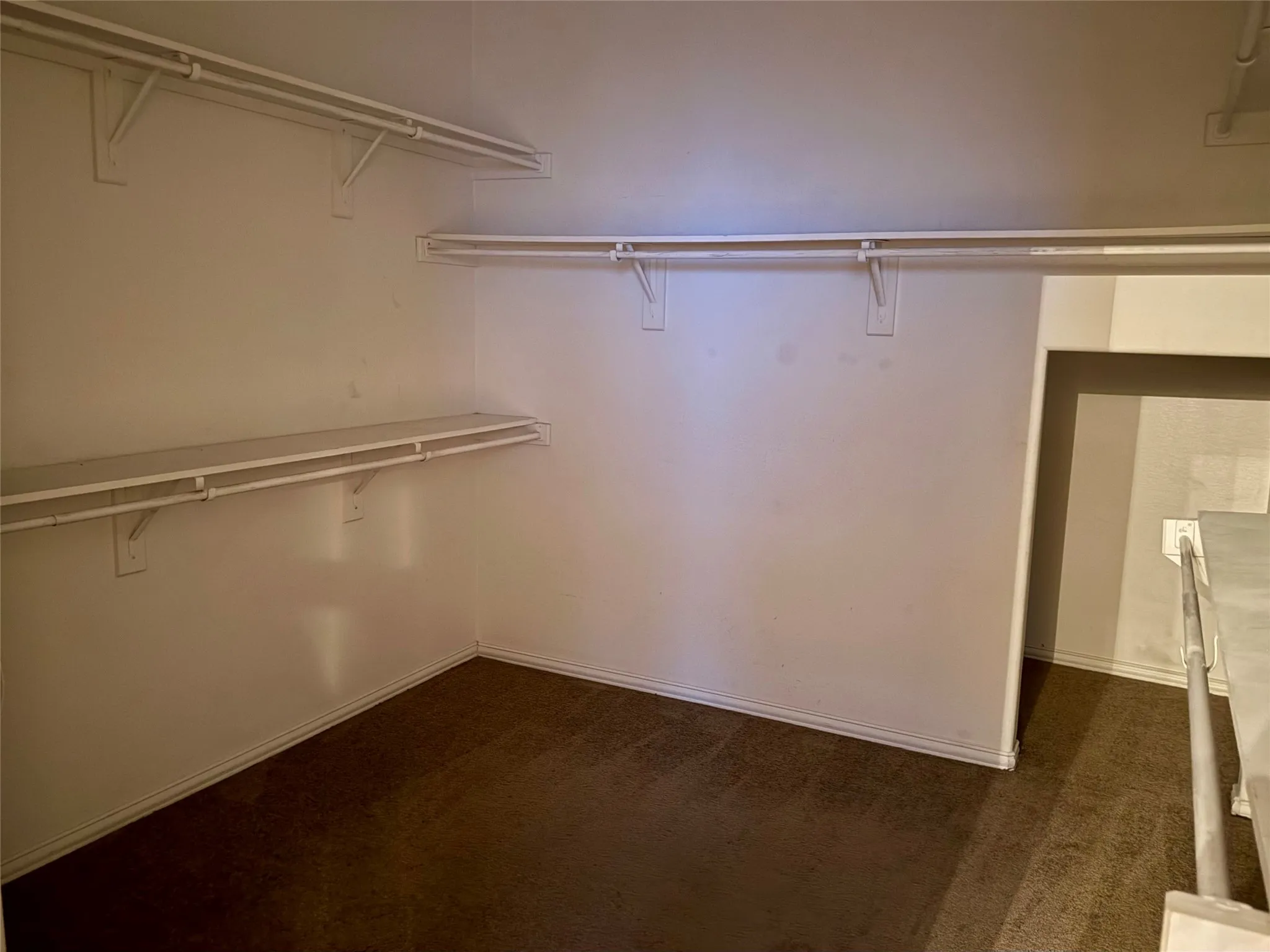 Walk-in closet featuring white wire shelving, hanging rods, and dark brown carpet flooring