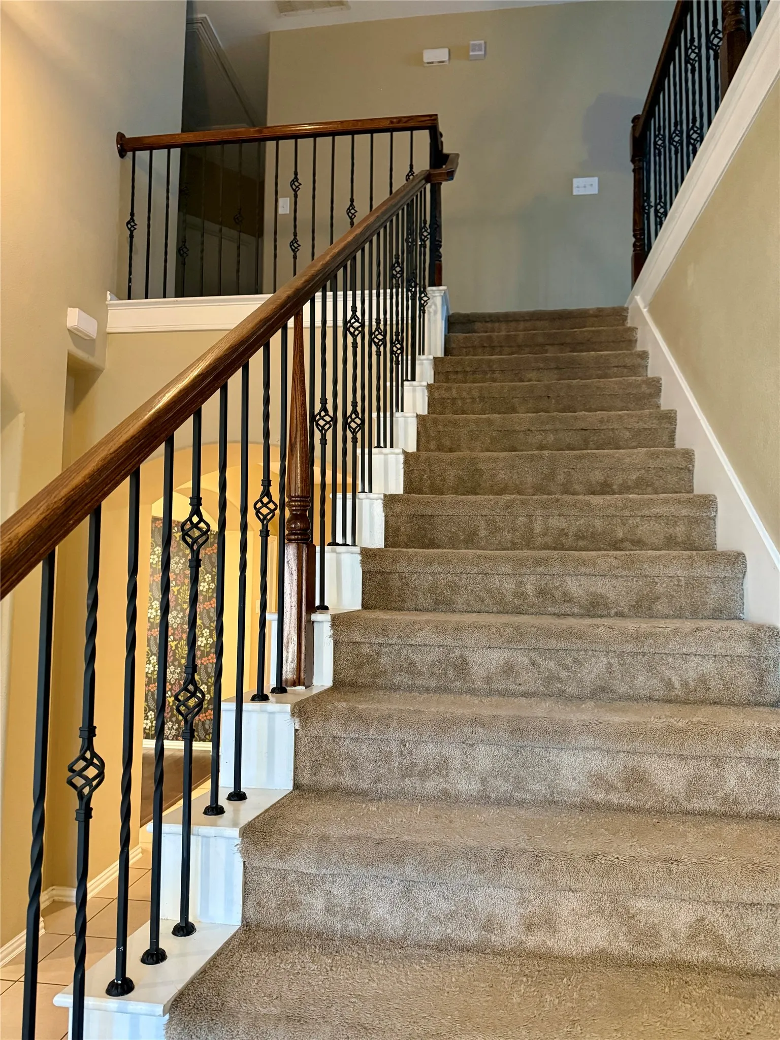 Carpeted staircase featuring wrought iron balusters with decorative baskets
