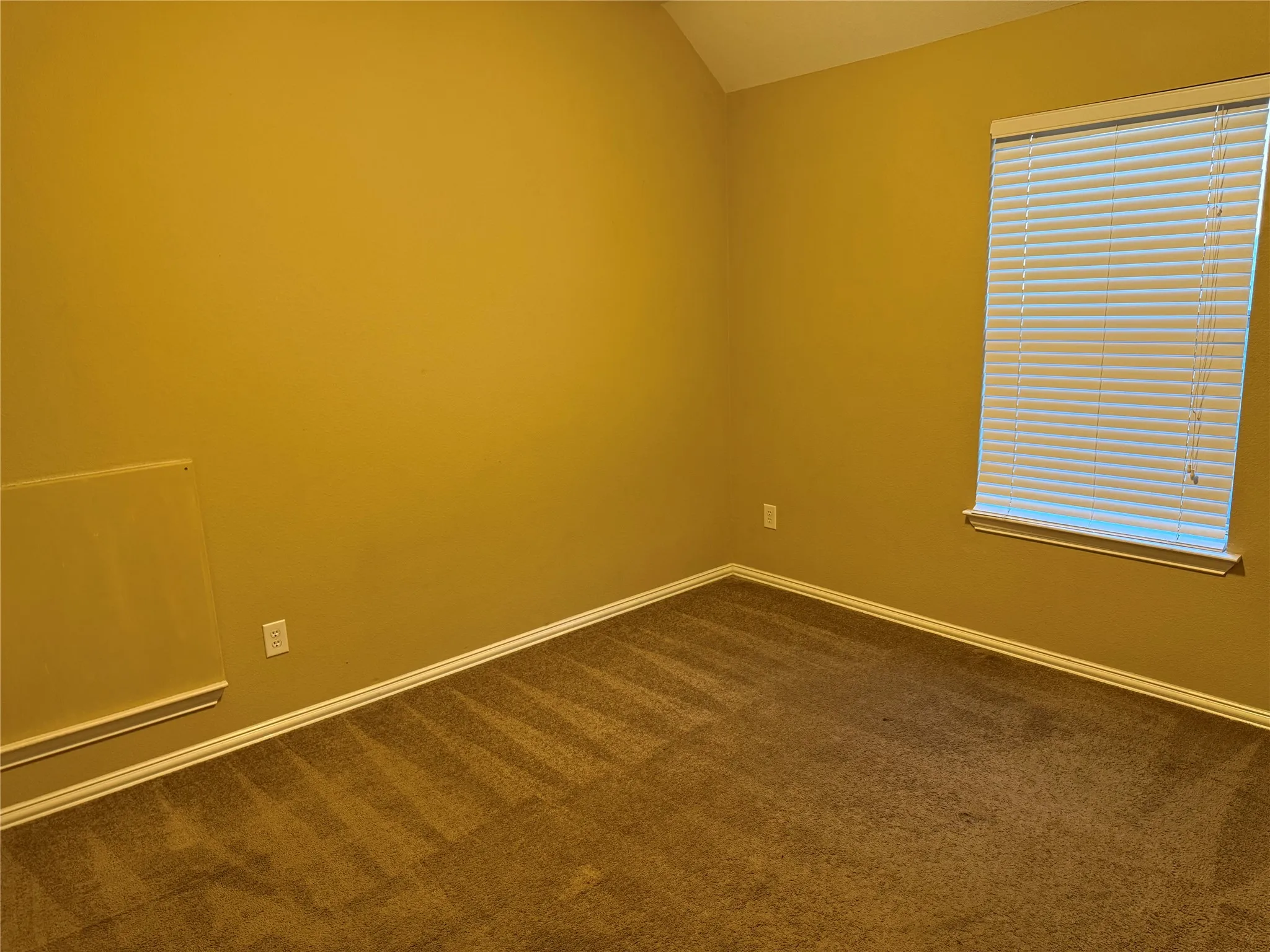 Carpeted room with a single window featuring horizontal blinds