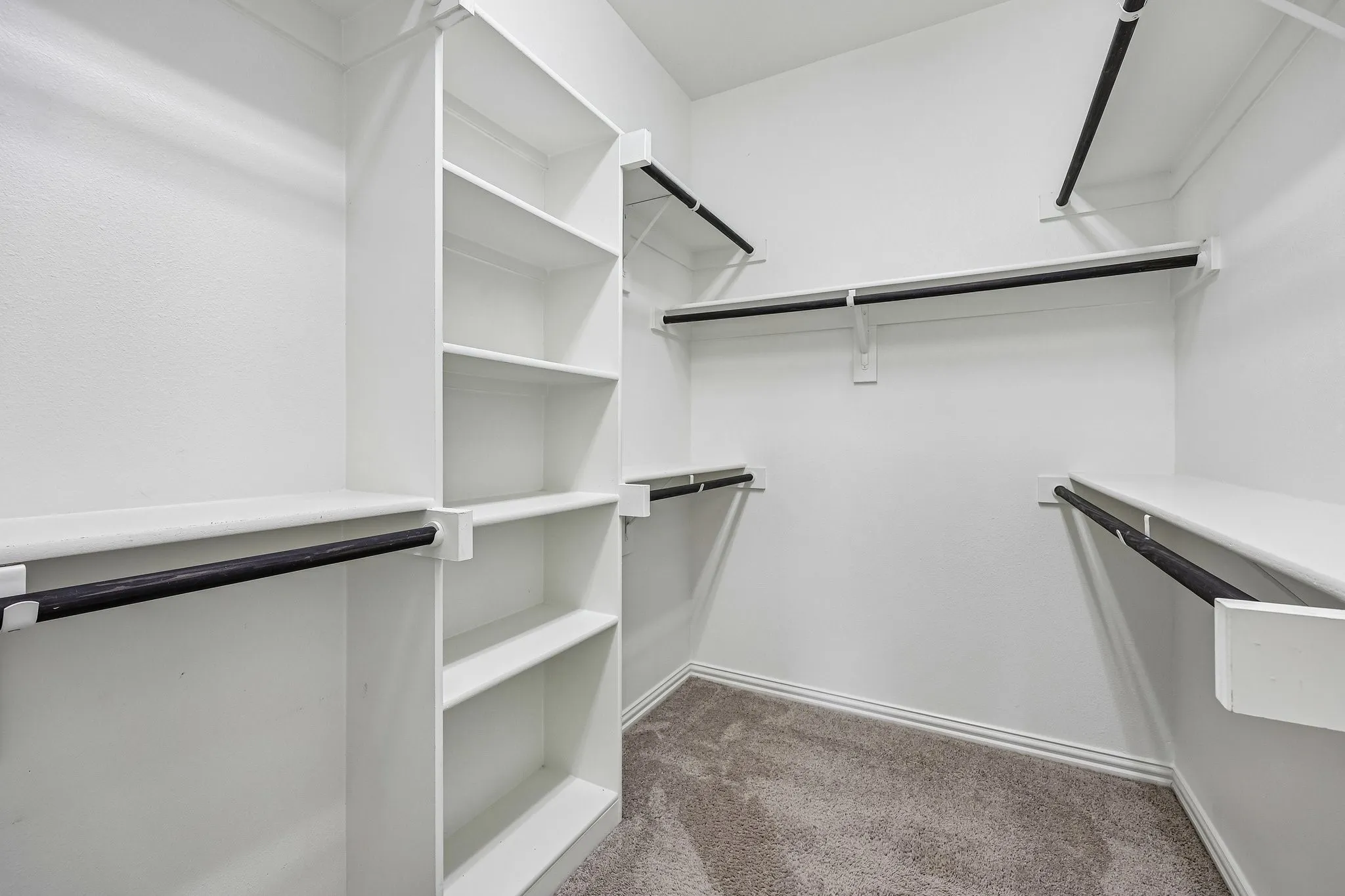 Walk-in closet featuring built-in shelving, multiple hanging rods, and neutral-toned carpeting