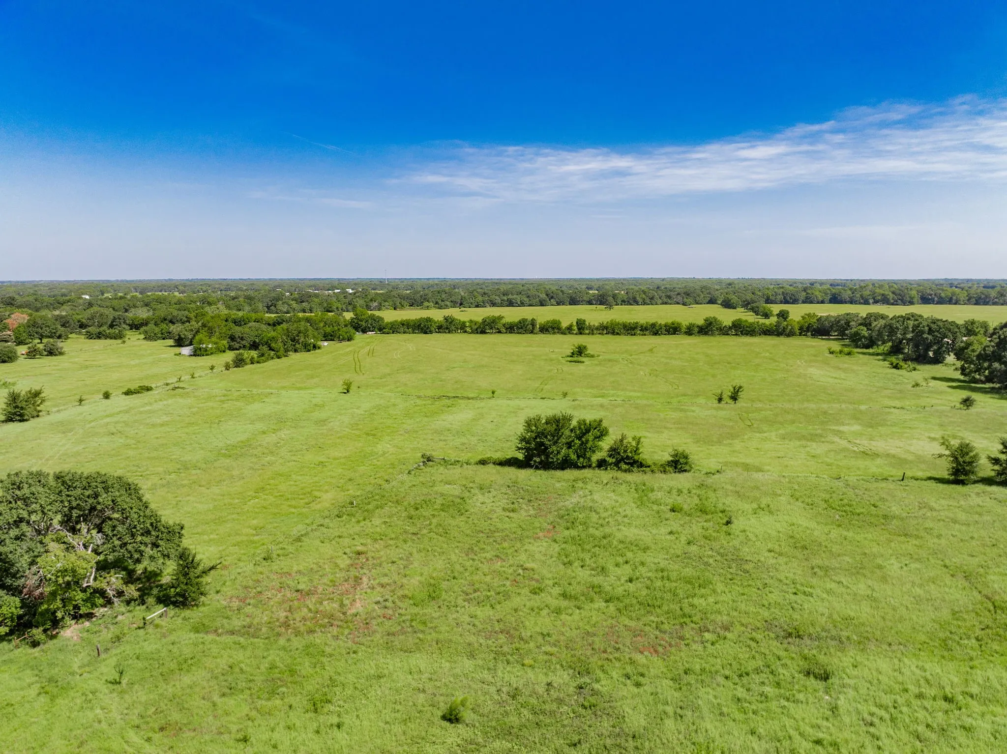 Expansive open pastureland featuring a verdant green landscape, scattered trees, and distant tree lines