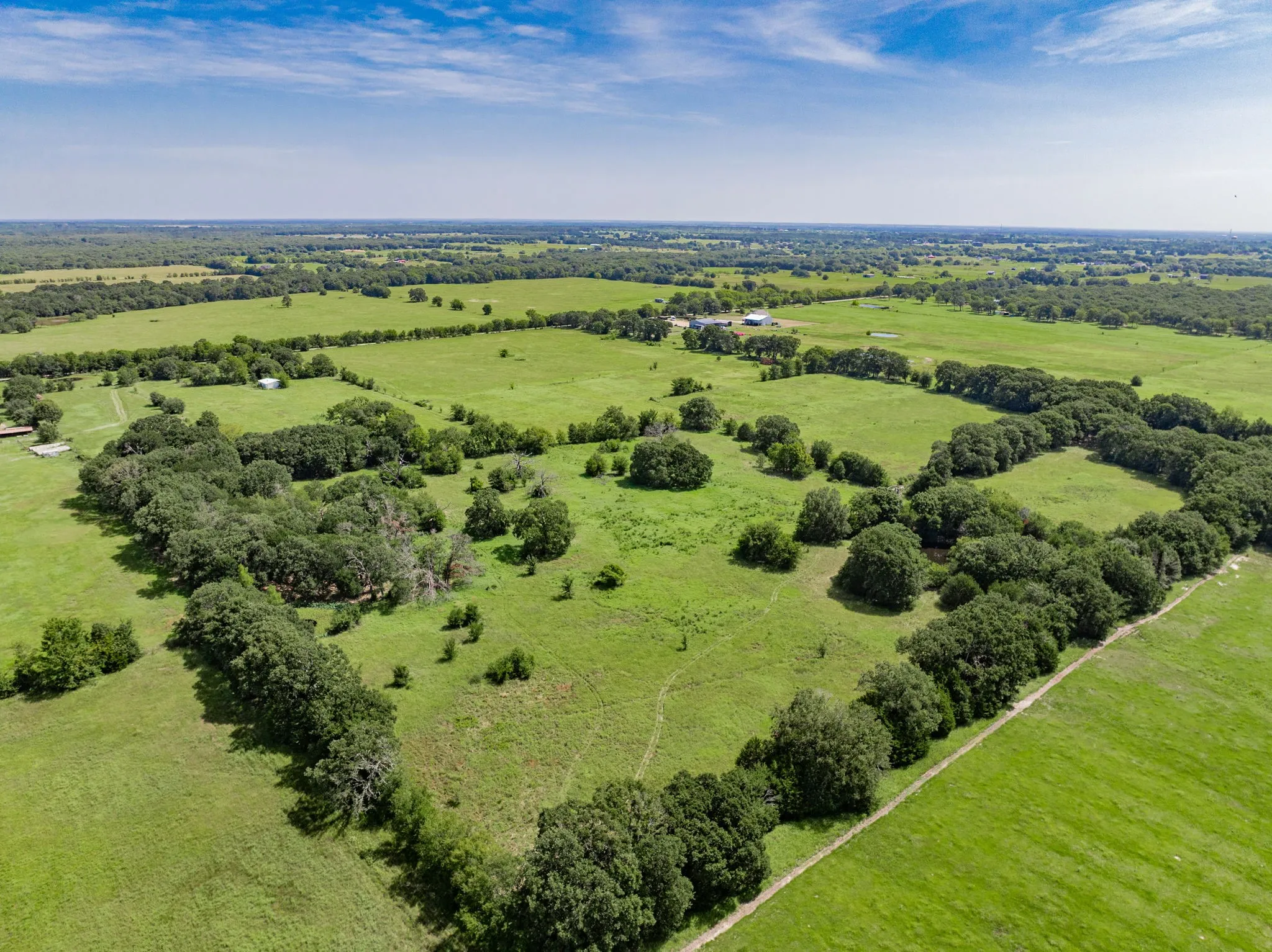 Expansive green pastures with scattered mature tree lines