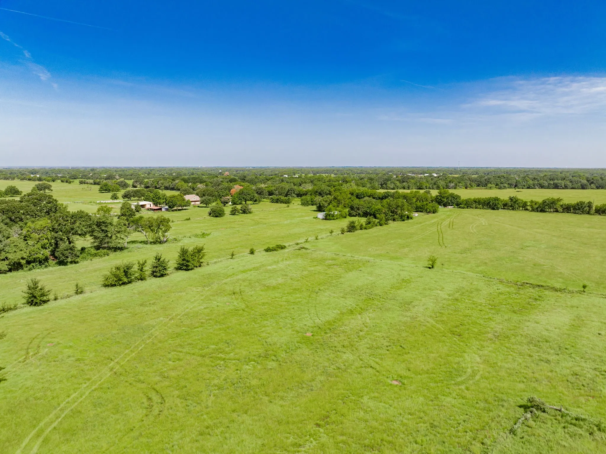 Expansive green pastures featuring scattered trees and a distant tree line