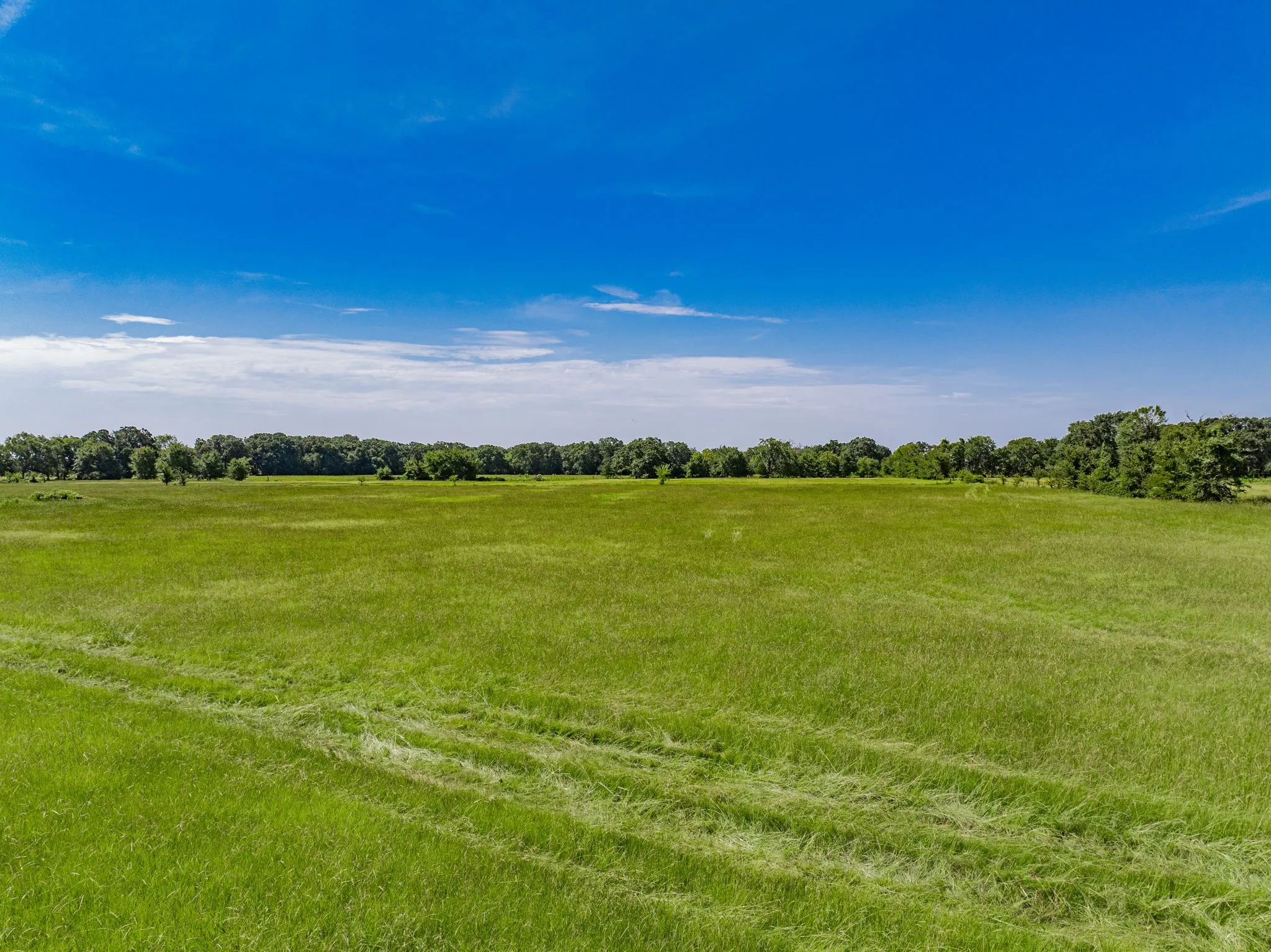 Unimproved Land For Sale in Kaufman County , Lot 2 Co Rd 4064, Kemp, Texas 75143, 0, 0, Garage spaces, 0 Sqft, built in 0, mls#21290495, Real Estate Agent in Kemp, Homes For Sale in Kaufman county, Homes For Sale in Kemp, Realtor in Kemp Texas, Real Estate Brokerage Independent Realty Texas, Luminita Cordes Realtor