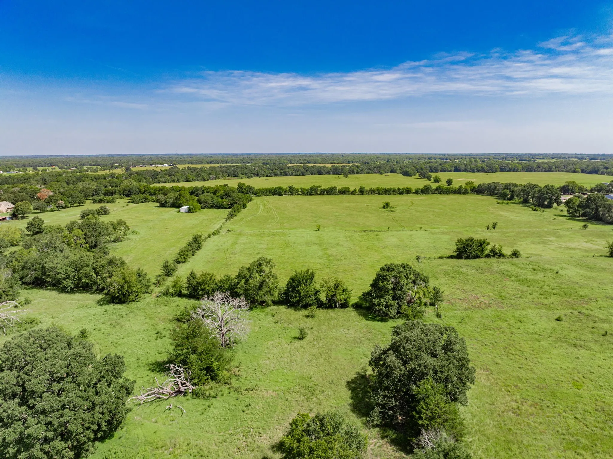 Expansive green acreage featuring natural tree lines and scattered mature trees