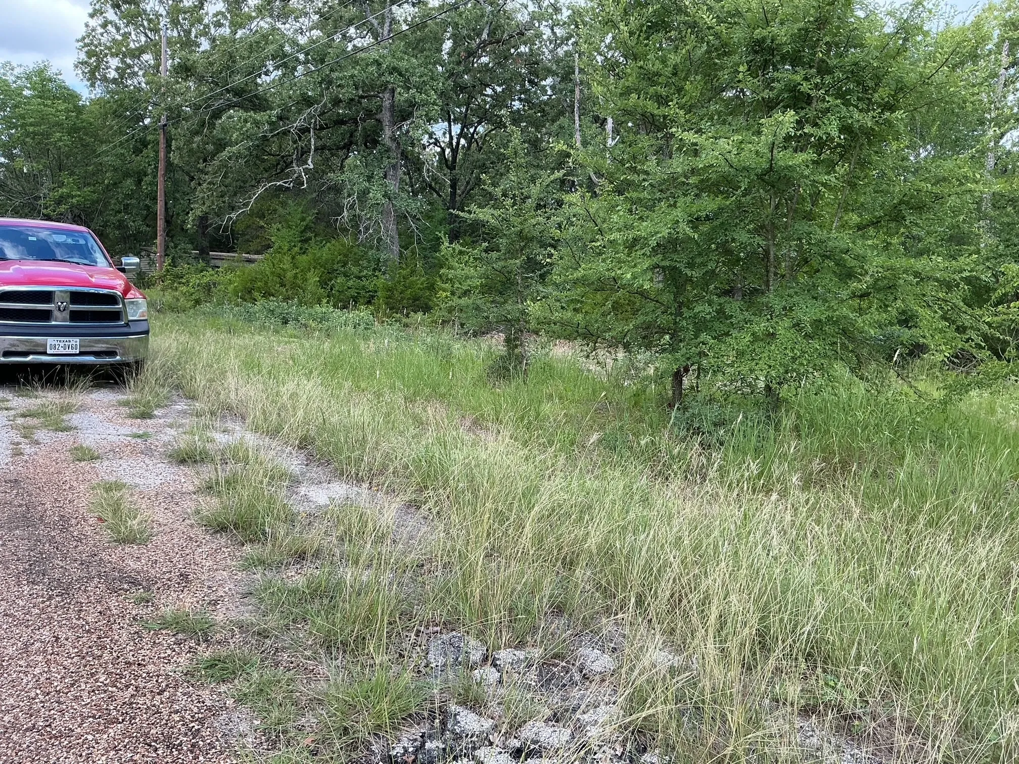 Unimproved Land For Sale in Henderson County , 175 Chillacothe Trail, Mabank, Texas 75156, 0, 0, Garage spaces, 0 Sqft, built in 0, Price $99,900, mls#21303454, Real Estate Agent in Mabank, Homes For Sale in Henderson county, Homes For Sale in Mabank, Realtor in Mabank Texas, Real Estate Brokerage Independent Realty Texas, Luminita Cordes Realtor