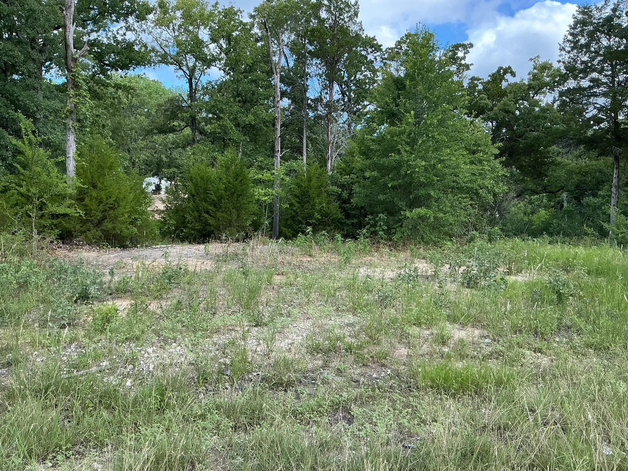 Unimproved Land For Sale in Henderson County , 175 Chillacothe Trail, Mabank, Texas 75156, 0, 0, Garage spaces, 0 Sqft, built in 0, Price $99,900, mls#21303454, Real Estate Agent in Mabank, Homes For Sale in Henderson county, Homes For Sale in Mabank, Realtor in Mabank Texas, Real Estate Brokerage Independent Realty Texas, Luminita Cordes Realtor