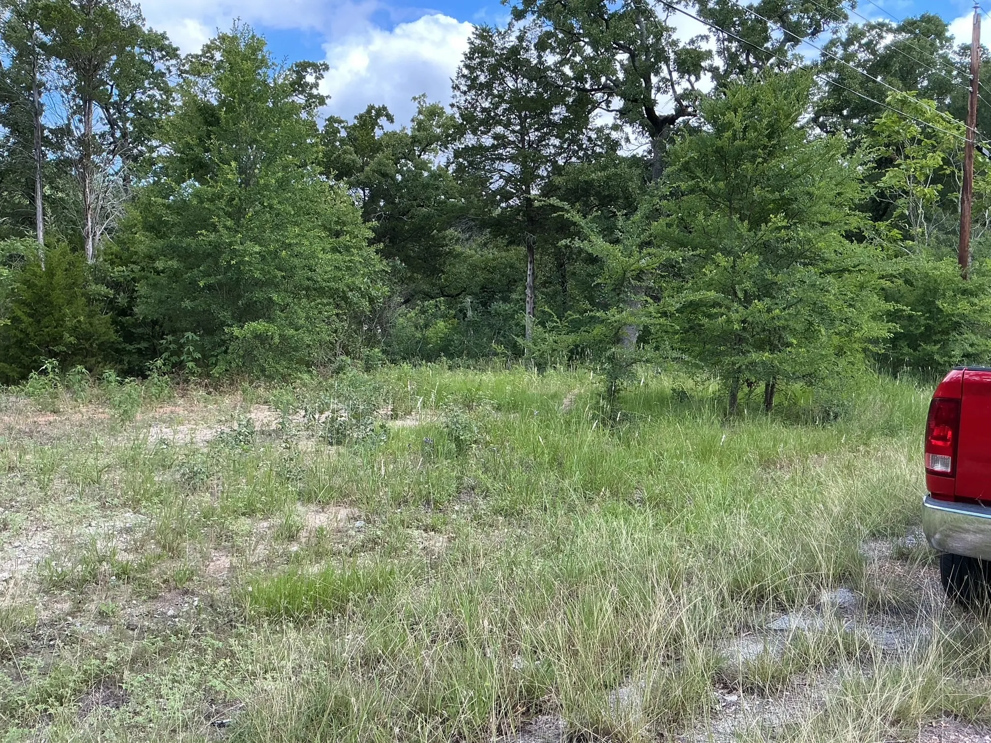 Unimproved Land For Sale in Henderson County , 175 Chillacothe Trail, Mabank, Texas 75156, 0, 0, Garage spaces, 0 Sqft, built in 0, Price $99,900, mls#21303454, Real Estate Agent in Mabank, Homes For Sale in Henderson county, Homes For Sale in Mabank, Realtor in Mabank Texas, Real Estate Brokerage Independent Realty Texas, Luminita Cordes Realtor