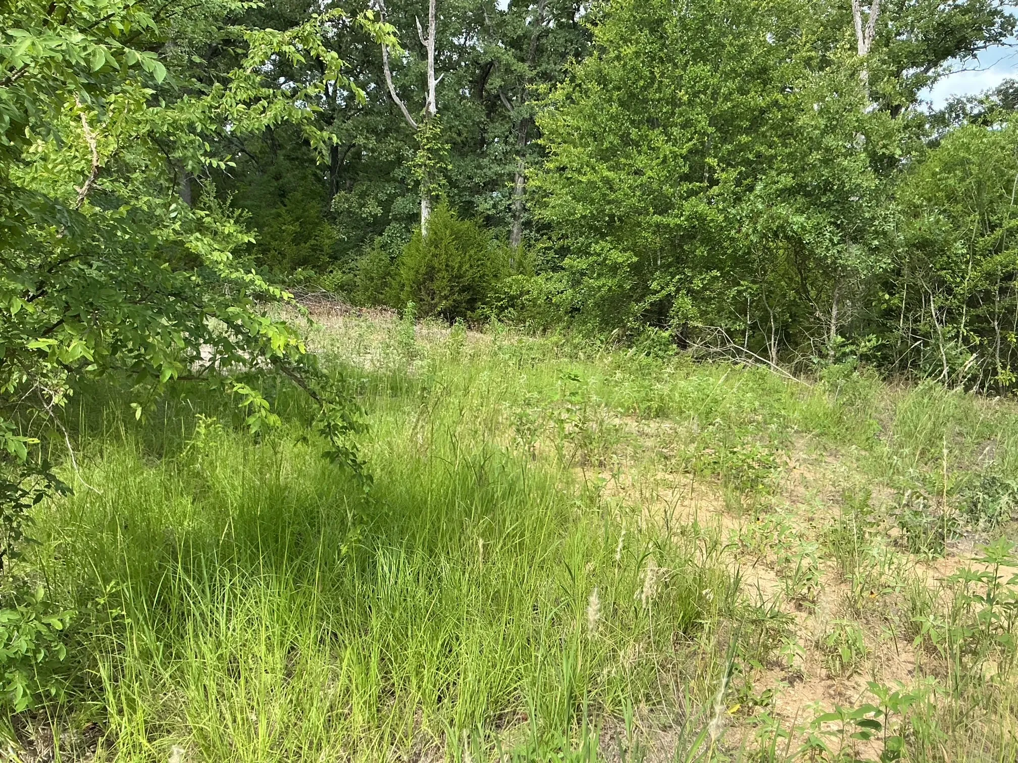 Unimproved Land For Sale in Henderson County , 175 Chillacothe Trail, Mabank, Texas 75156, 0, 0, Garage spaces, 0 Sqft, built in 0, Price $99,900, mls#21303454, Real Estate Agent in Mabank, Homes For Sale in Henderson county, Homes For Sale in Mabank, Realtor in Mabank Texas, Real Estate Brokerage Independent Realty Texas, Luminita Cordes Realtor