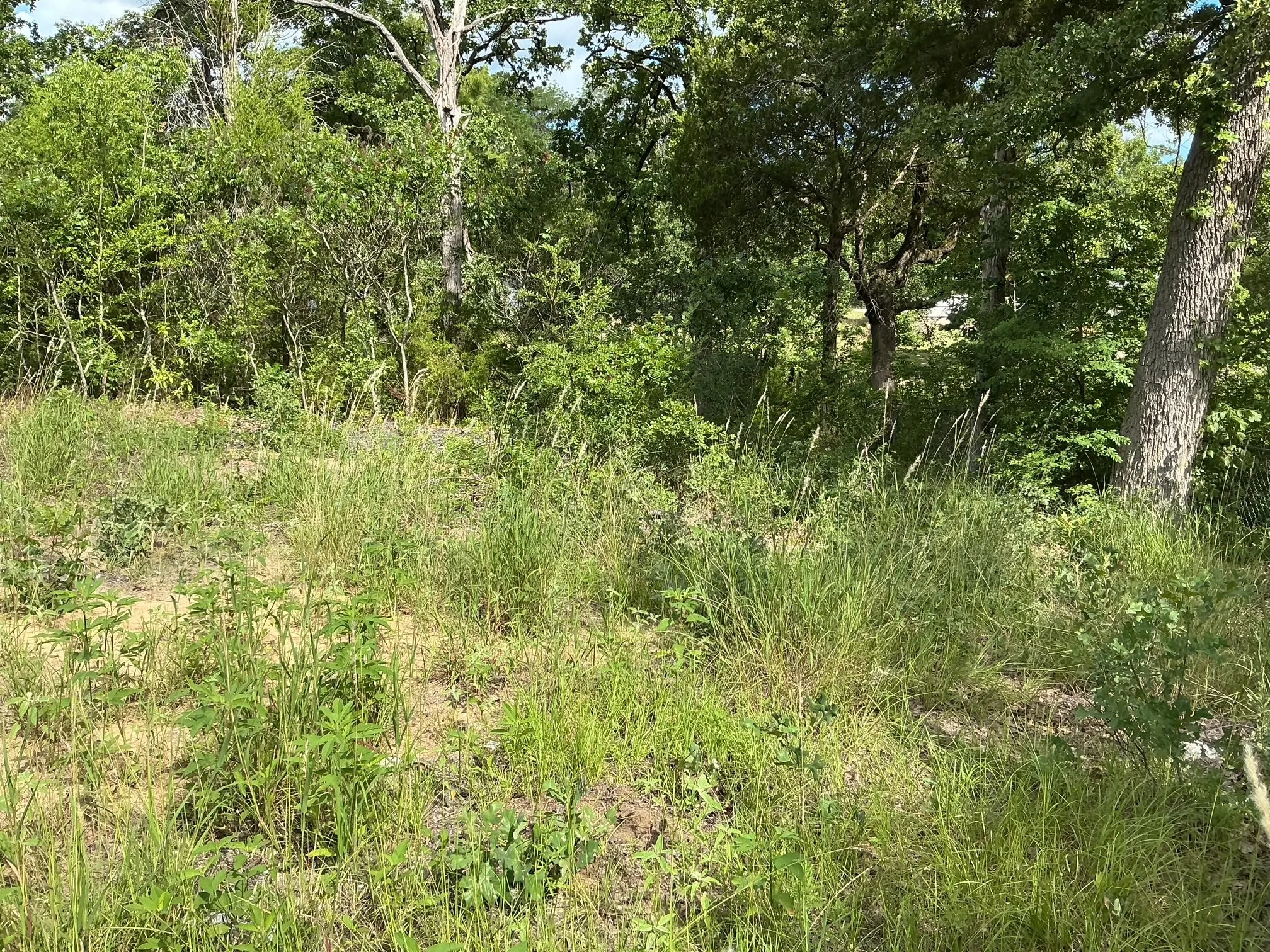 Unimproved Land For Sale in Henderson County , 175 Chillacothe Trail, Mabank, Texas 75156, 0, 0, Garage spaces, 0 Sqft, built in 0, Price $99,900, mls#21303454, Real Estate Agent in Mabank, Homes For Sale in Henderson county, Homes For Sale in Mabank, Realtor in Mabank Texas, Real Estate Brokerage Independent Realty Texas, Luminita Cordes Realtor