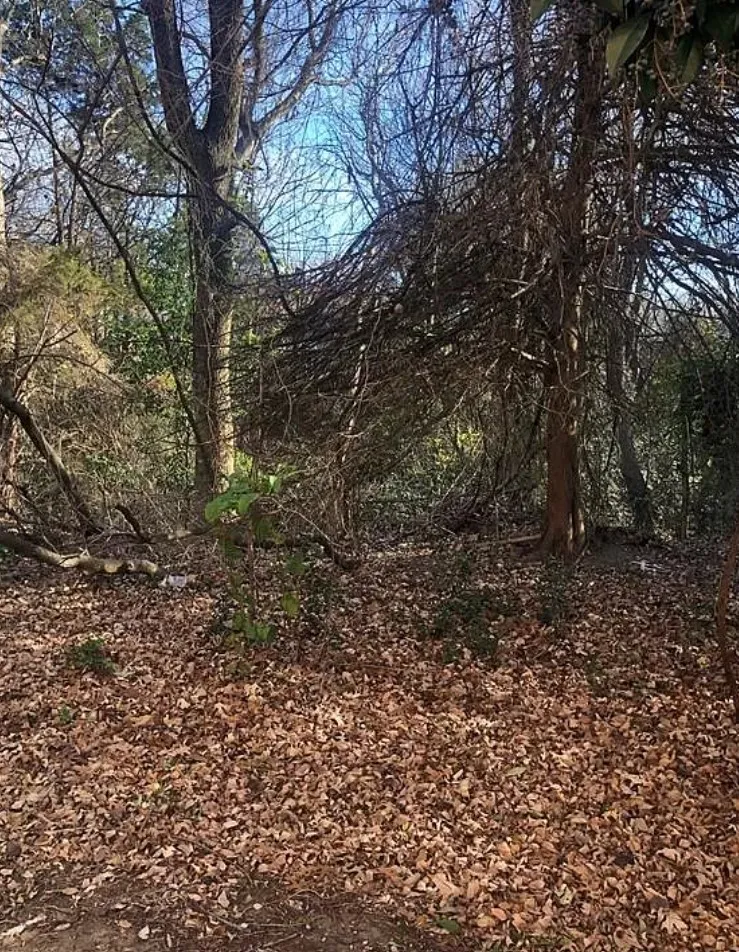 Unimproved Land For Sale in Rockwall County , 311 Valiant Drive, Rockwall, Texas 75032, 0, 0, Garage spaces, 0 Sqft, built in 0, Price $149,900, mls#21304470, Real Estate Agent in Rockwall, Homes For Sale in Rockwall county, Homes For Sale in Rockwall, Realtor in Rockwall Texas, Real Estate Brokerage Independent Realty Texas, Luminita Cordes Realtor