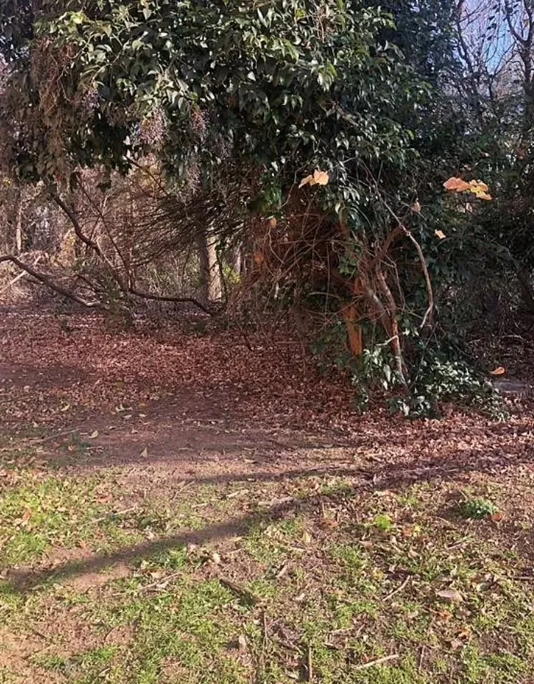 Unimproved Land For Sale in Rockwall County , 311 Valiant Drive, Rockwall, Texas 75032, 0, 0, Garage spaces, 0 Sqft, built in 0, Price $149,900, mls#21304470, Real Estate Agent in Rockwall, Homes For Sale in Rockwall county, Homes For Sale in Rockwall, Realtor in Rockwall Texas, Real Estate Brokerage Independent Realty Texas, Luminita Cordes Realtor