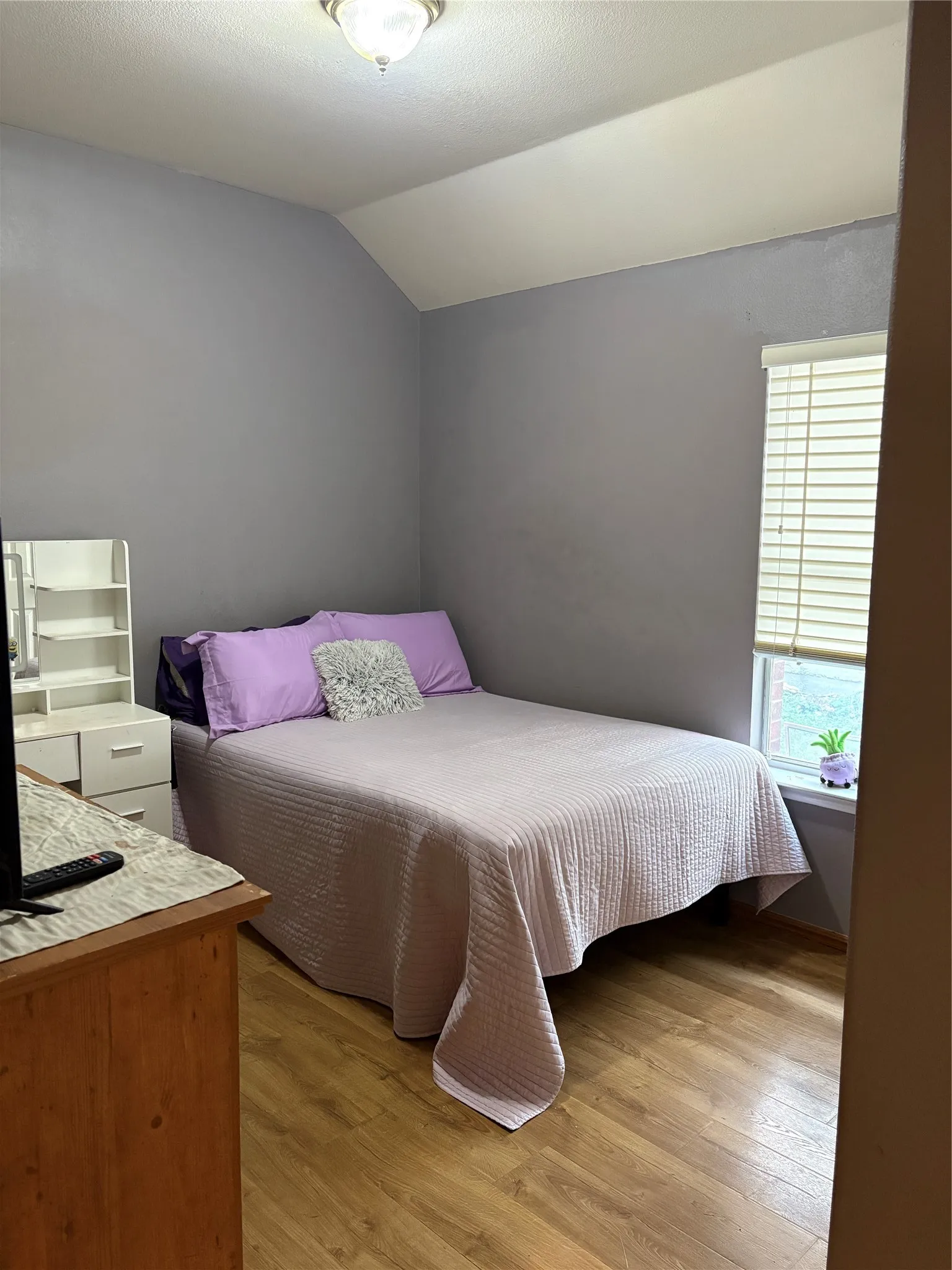 Vaulted ceiling, wood-finish flooring, recessed window, and flush mount lighting