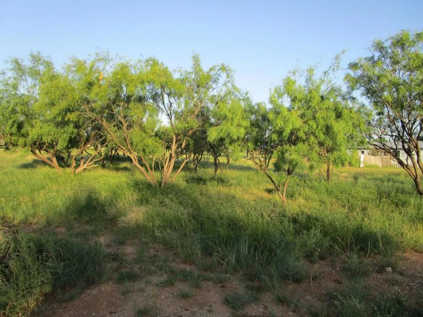 Mobile Home For Sale in Mitchell County , 840 Cherry Street, Colorado City, Texas 79512, 3 Bedroom, 2 Bathroom, Garage spaces, 1,080 Sqft, built in 2001, mls#21304639, Real Estate Agent in Colorado City, Homes For Sale in Mitchell county, Homes For Sale in Colorado City, Realtor in Colorado City Texas, Real Estate Brokerage Independent Realty Texas, Luminita Cordes Realtor