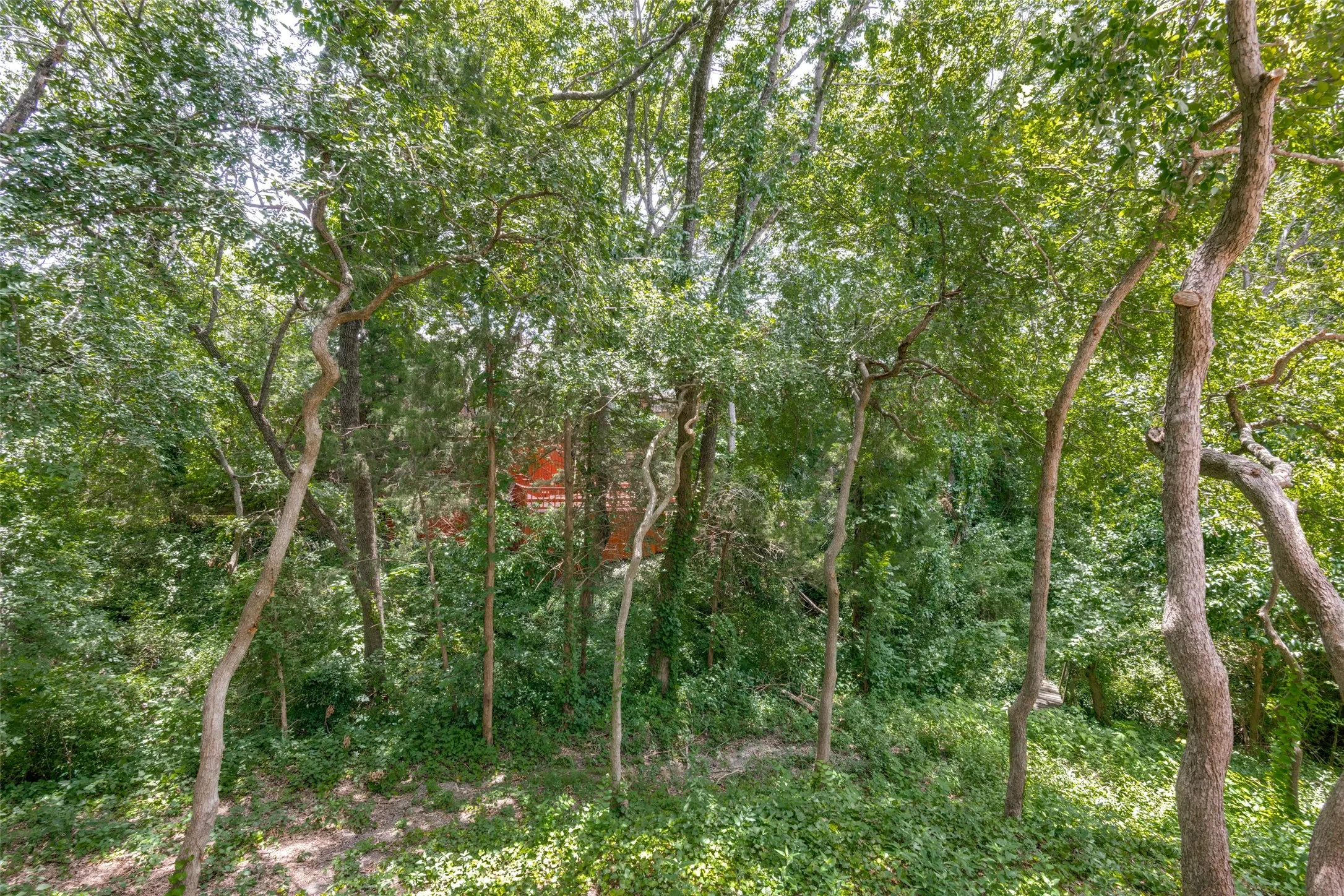 Wooded lot featuring mature trees and abundant foliage