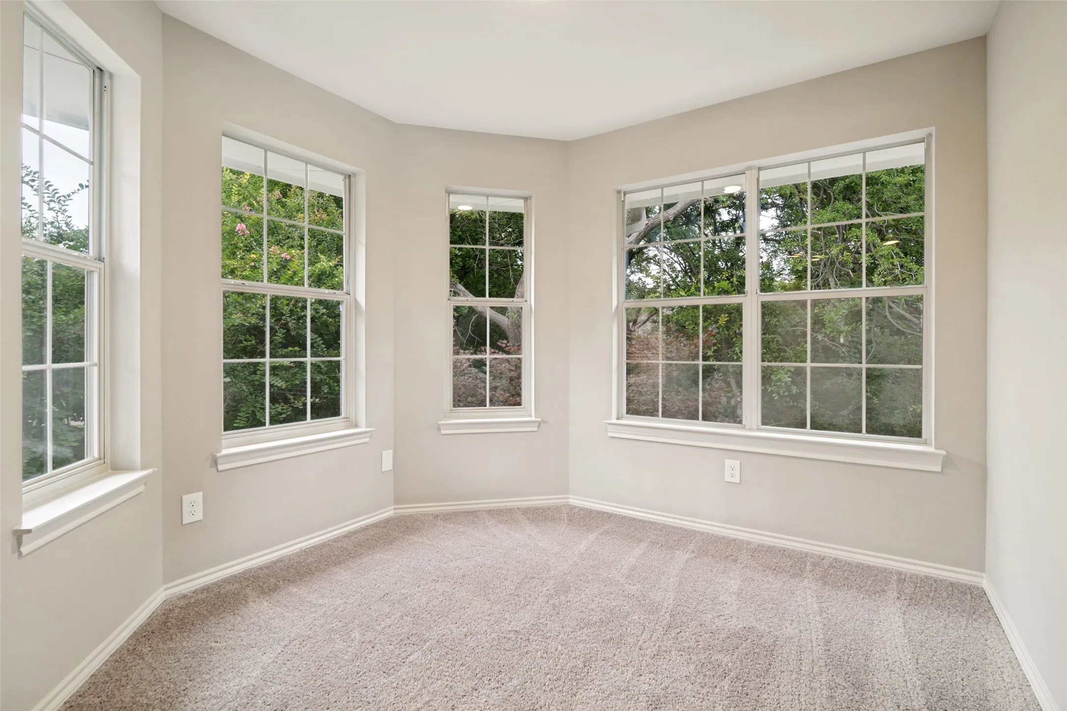 Bright interior space featuring light-colored walls, multiple windows with white grid inserts, white trim, and neutral-toned carpet flooring