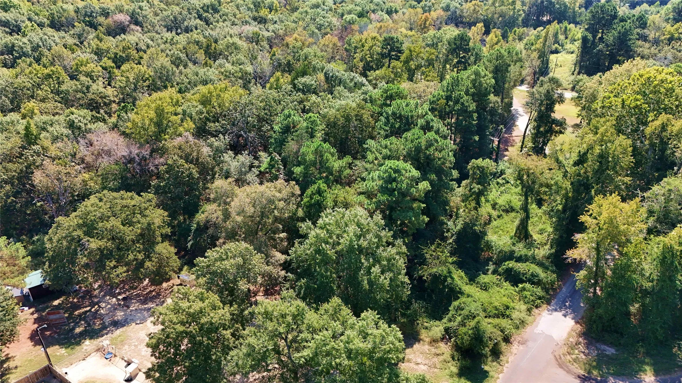 Unimproved Land For Sale in Wood County , 175 County Road 2267, Mineola, Texas 75773, 0, 0, Garage spaces, 0 Sqft, built in 0, Price $139,900, mls#21304683, Real Estate Agent in Mineola, Homes For Sale in Wood county, Homes For Sale in Mineola, Realtor in Mineola Texas, Real Estate Brokerage Independent Realty Texas, Luminita Cordes Realtor