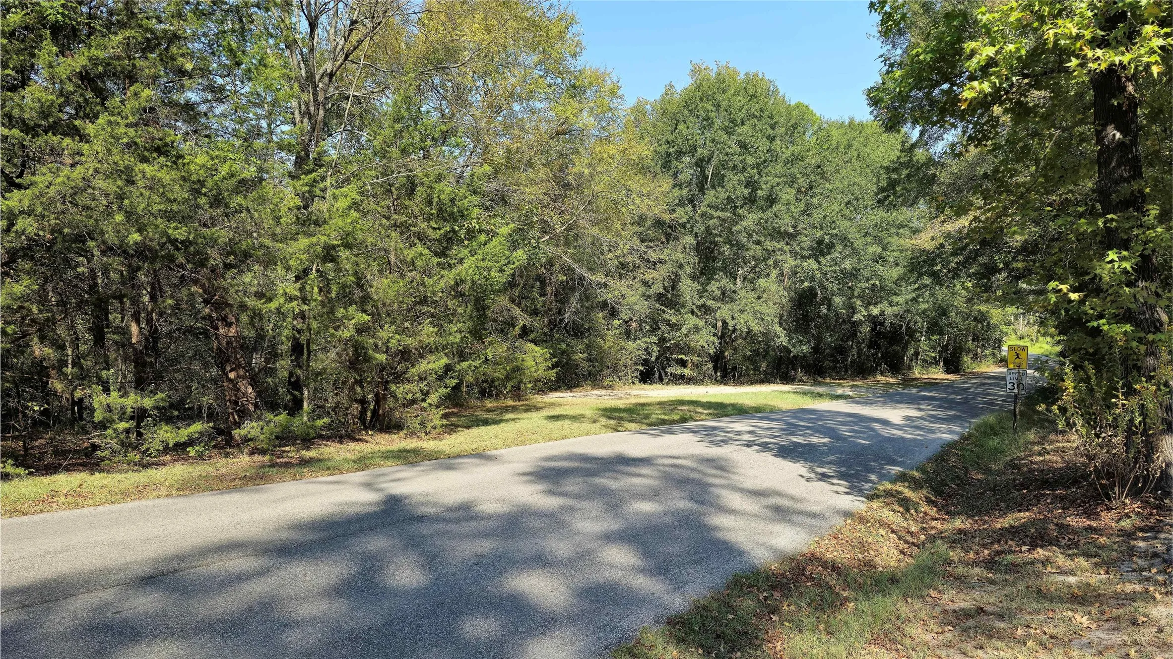 Unimproved Land For Sale in Wood County , 175 County Road 2267, Mineola, Texas 75773, 0, 0, Garage spaces, 0 Sqft, built in 0, Price $139,900, mls#21304683, Real Estate Agent in Mineola, Homes For Sale in Wood county, Homes For Sale in Mineola, Realtor in Mineola Texas, Real Estate Brokerage Independent Realty Texas, Luminita Cordes Realtor