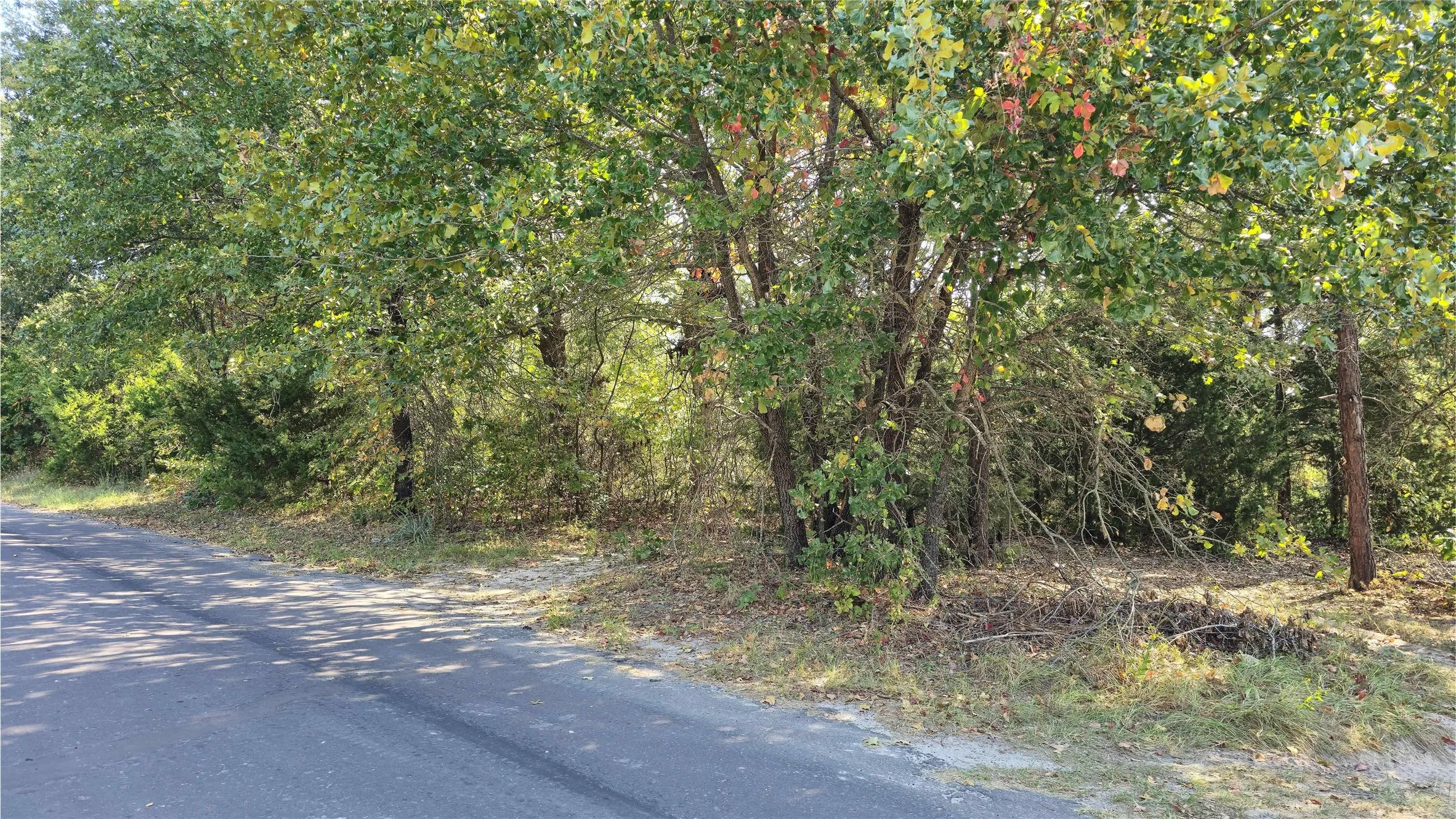 Unimproved Land For Sale in Wood County , 175 County Road 2267, Mineola, Texas 75773, 0, 0, Garage spaces, 0 Sqft, built in 0, Price $139,900, mls#21304683, Real Estate Agent in Mineola, Homes For Sale in Wood county, Homes For Sale in Mineola, Realtor in Mineola Texas, Real Estate Brokerage Independent Realty Texas, Luminita Cordes Realtor