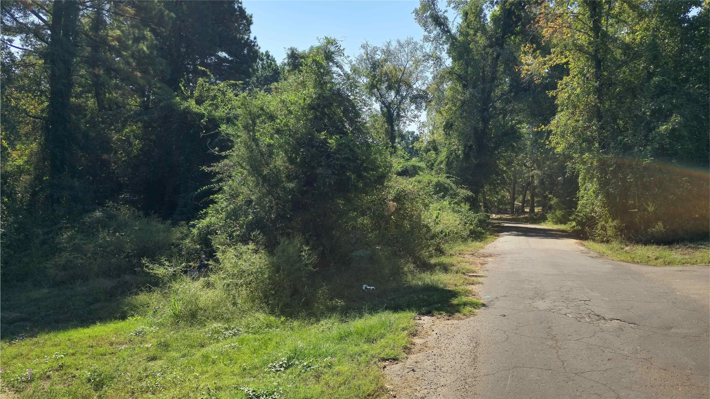 Unimproved Land For Sale in Wood County , 175 County Road 2267, Mineola, Texas 75773, 0, 0, Garage spaces, 0 Sqft, built in 0, Price $139,900, mls#21304683, Real Estate Agent in Mineola, Homes For Sale in Wood county, Homes For Sale in Mineola, Realtor in Mineola Texas, Real Estate Brokerage Independent Realty Texas, Luminita Cordes Realtor