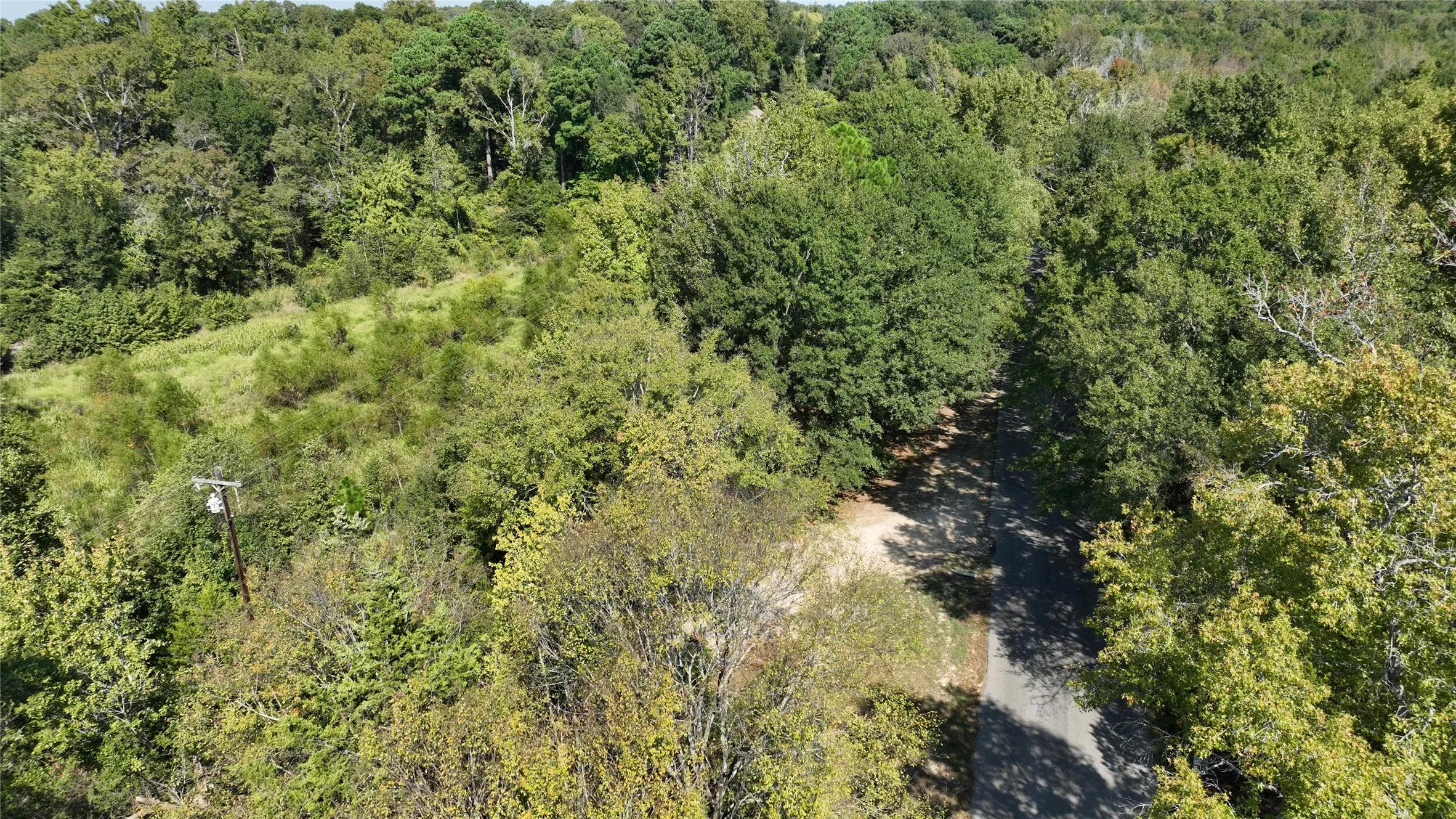 Unimproved Land For Sale in Wood County , 175 County Road 2267, Mineola, Texas 75773, 0, 0, Garage spaces, 0 Sqft, built in 0, Price $139,900, mls#21304683, Real Estate Agent in Mineola, Homes For Sale in Wood county, Homes For Sale in Mineola, Realtor in Mineola Texas, Real Estate Brokerage Independent Realty Texas, Luminita Cordes Realtor