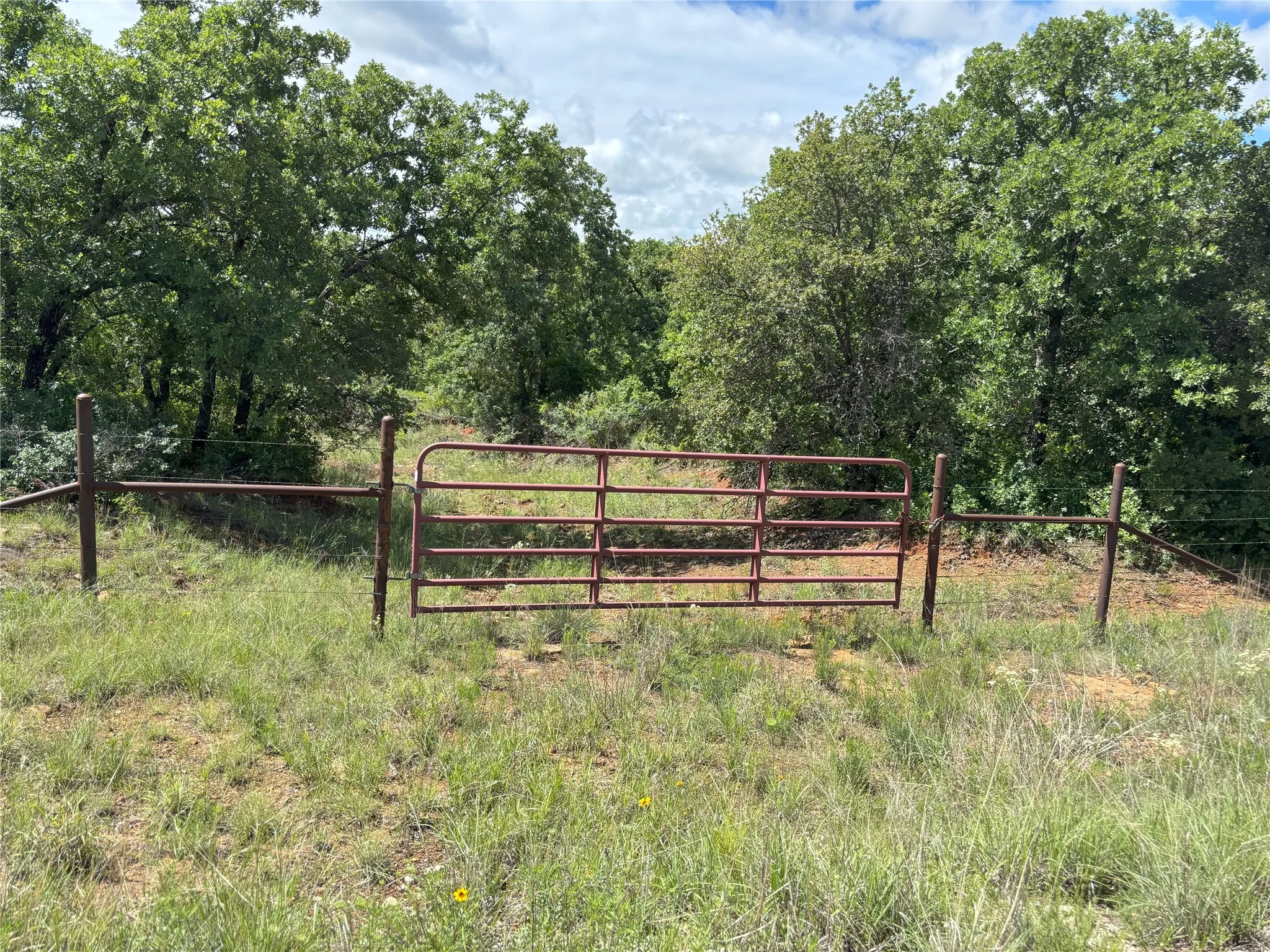 3rd gate along Sunset Lane