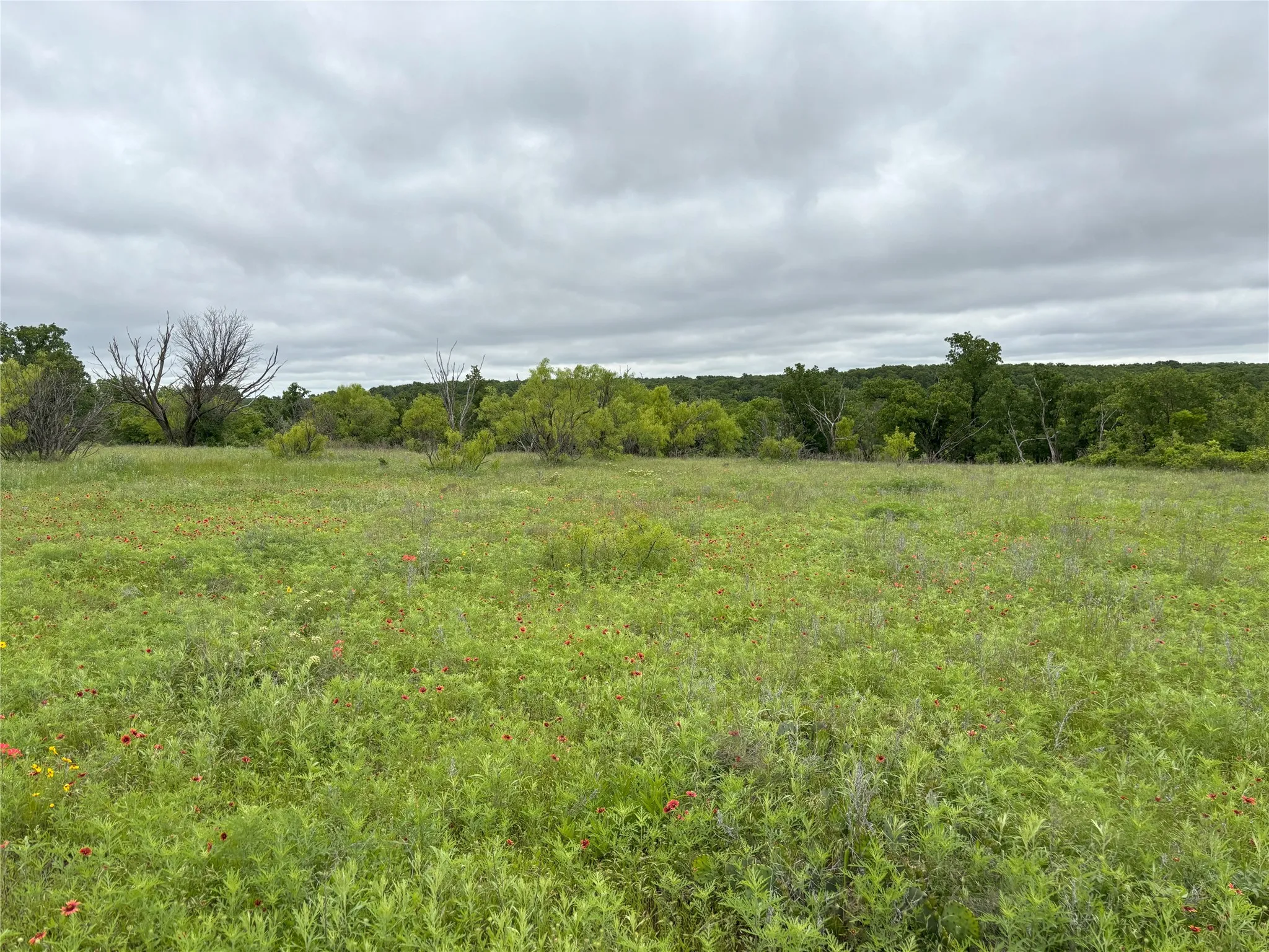View of nature featuring rural landscape