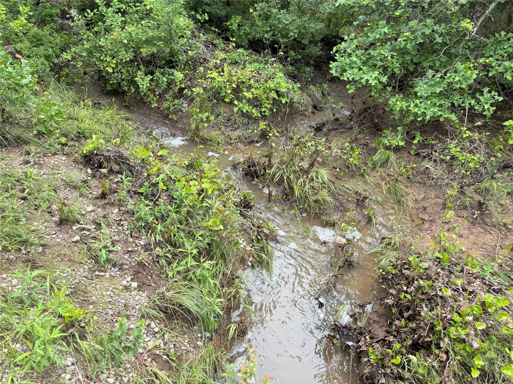 Seasonal water
