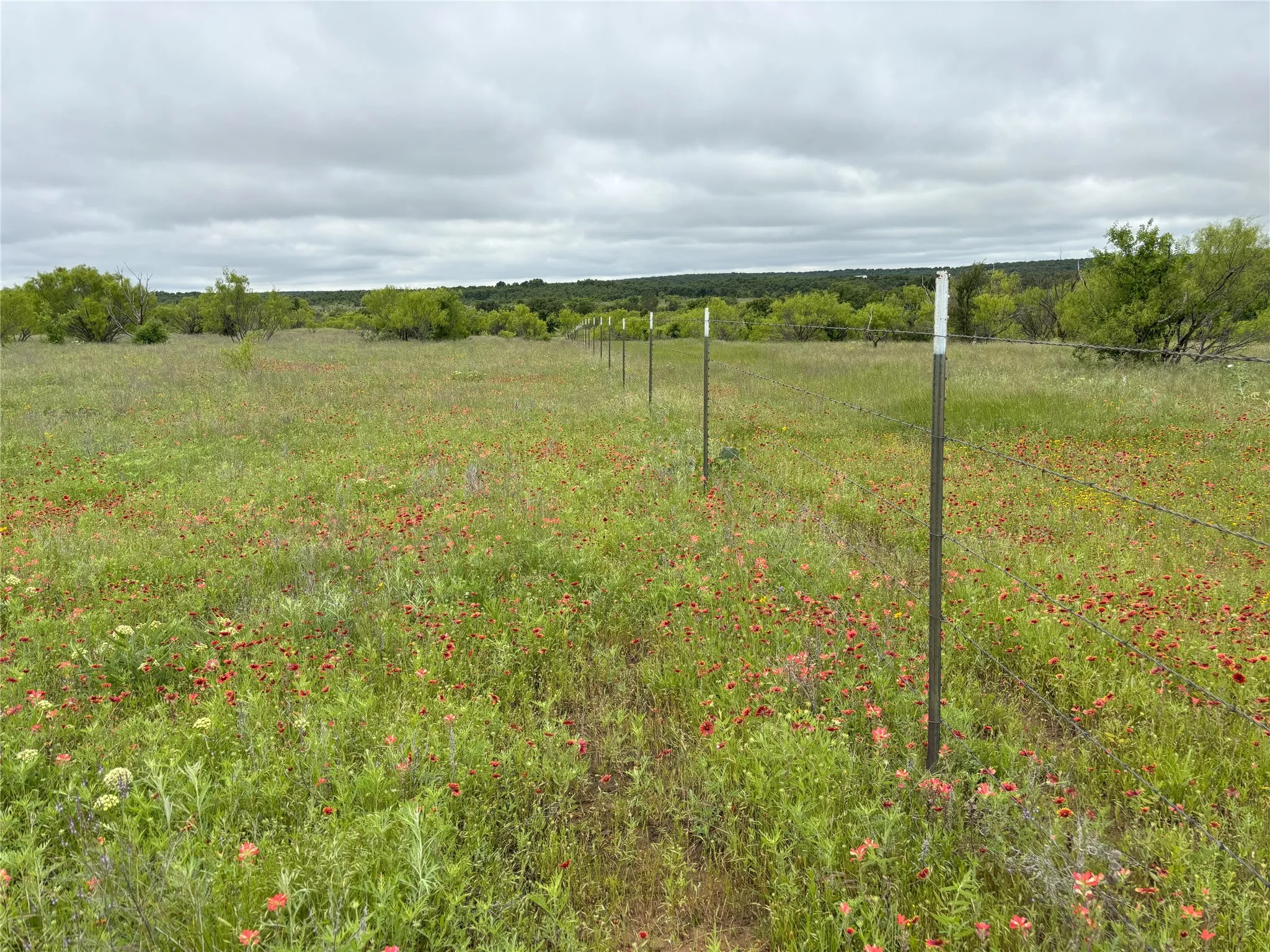 Good perimeter fence