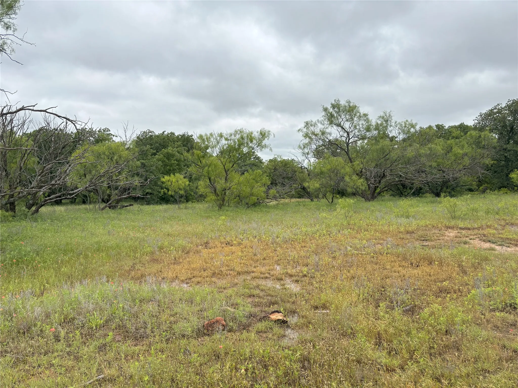 Habitat