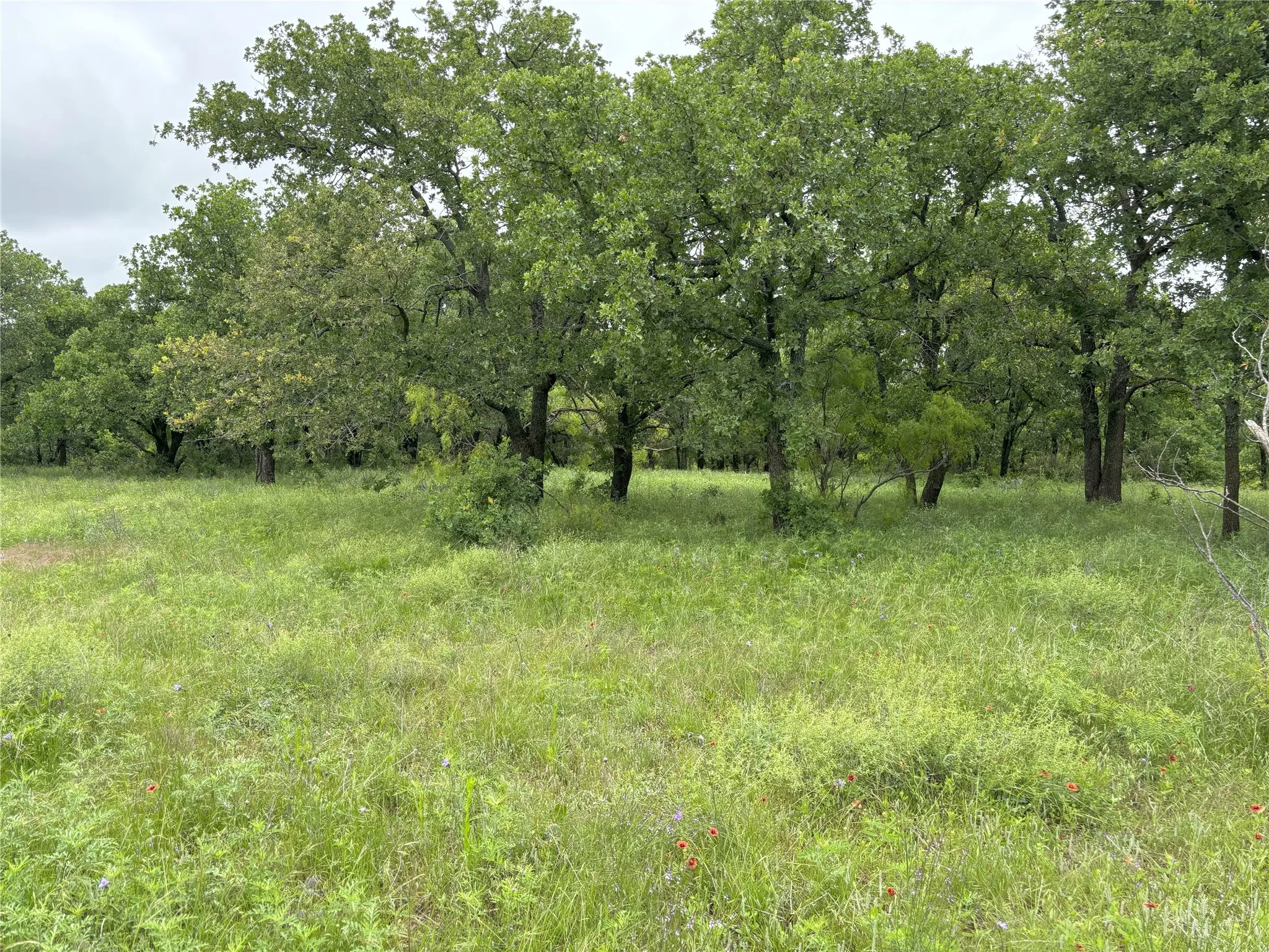 Edge wildlife habitat,