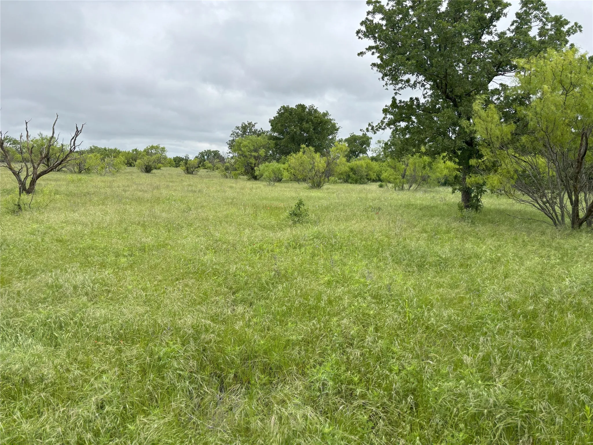 Unimproved Land For Sale in Jack County , 0 Sunset Lane, Jacksboro, Texas 76458, 0, 0, Garage spaces, 0 Sqft, built in 0, Price $980,000, mls#21304771, Real Estate Agent in Jacksboro, Homes For Sale in Jack county, Homes For Sale in Jacksboro, Realtor in Jacksboro Texas, Real Estate Brokerage Independent Realty Texas, Luminita Cordes Realtor