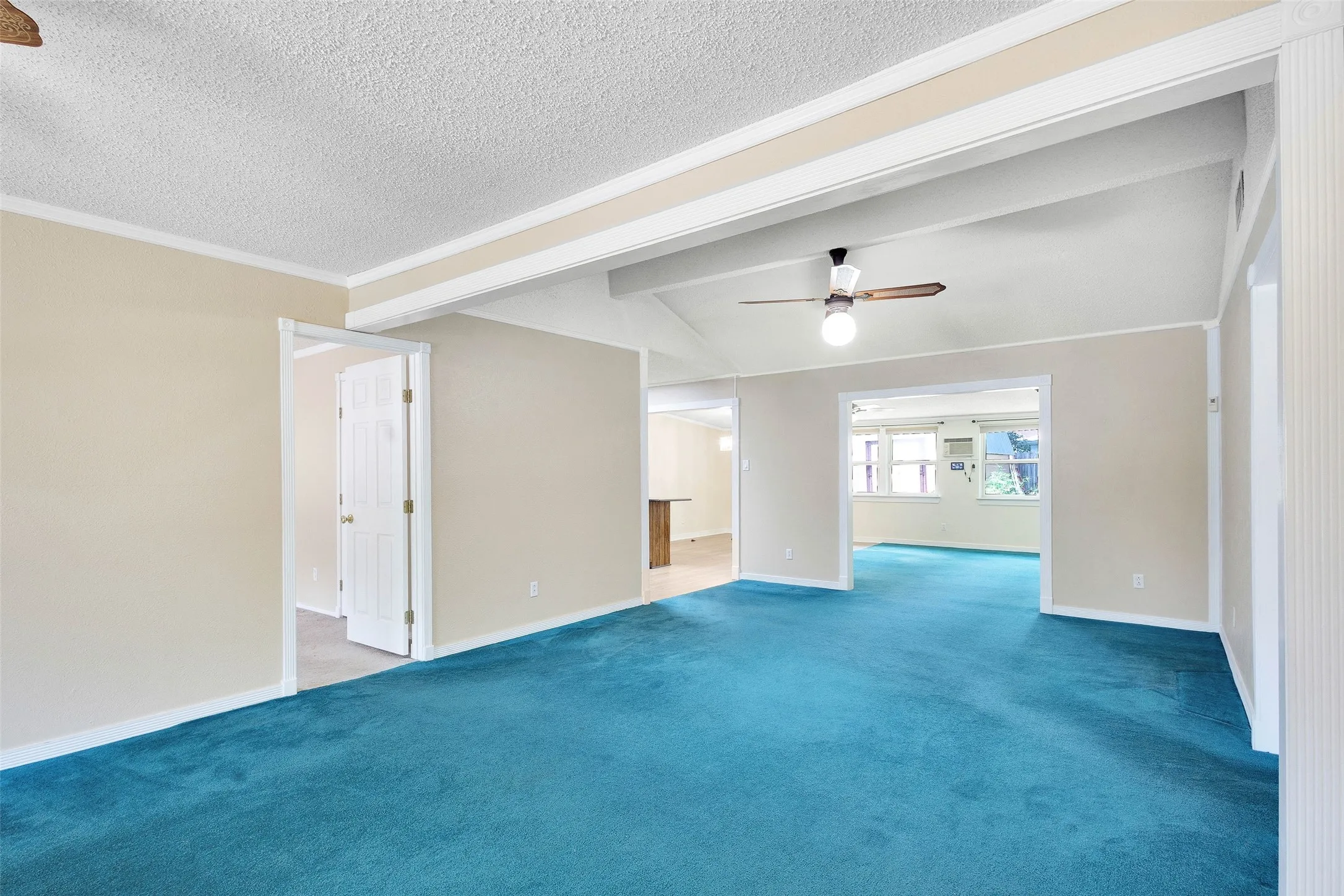 Primary Living Area