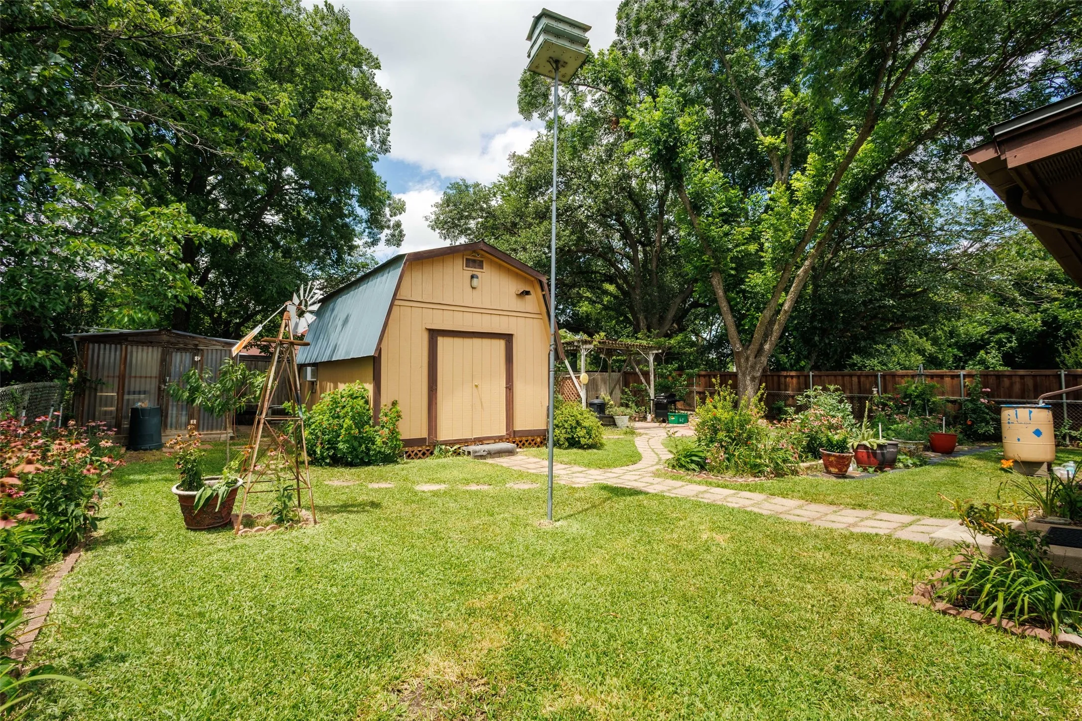 Backyard