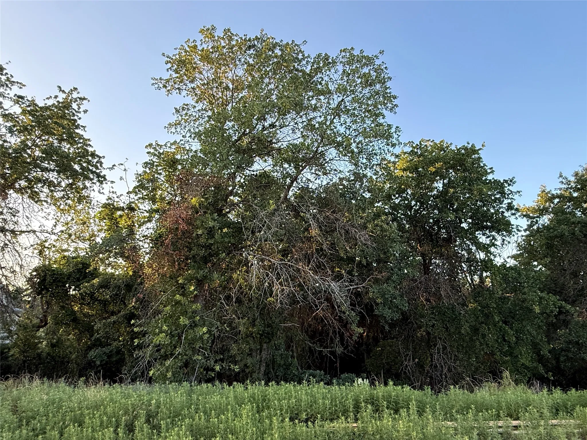 Single Family Residence For Sale in Parker County , 277 Zebrastone Way, Poolville, Texas 76487, 4 Bedroom, 3 Bathroom, 2 Garage spaces, 2,515 Sqft, built in 2026, mls#21297241, Real Estate Agent in Poolville, Homes For Sale in Parker county, Homes For Sale in Poolville, Realtor in Poolville Texas, Real Estate Brokerage Independent Realty Texas, Luminita Cordes Realtor