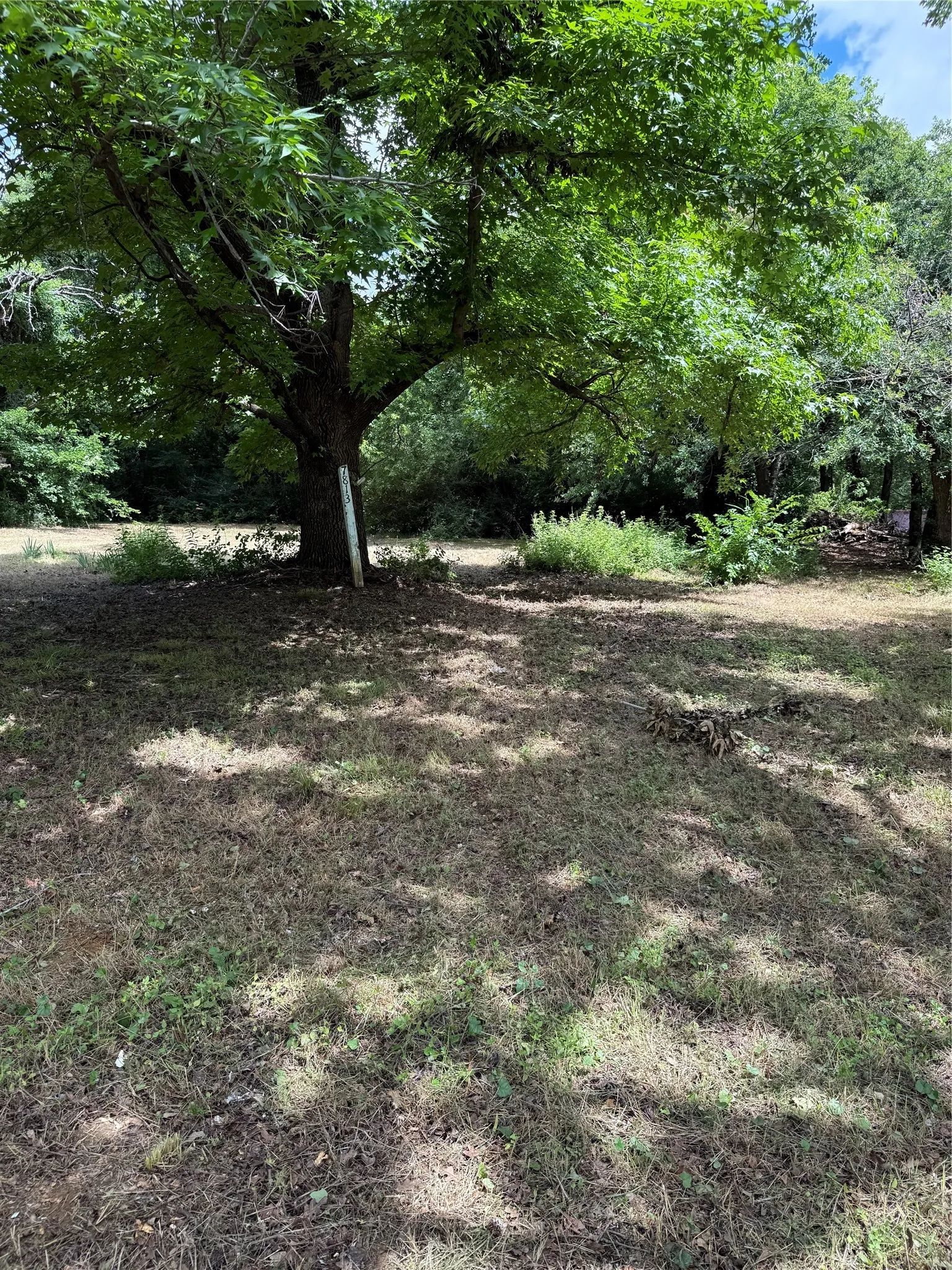 Unimproved Land For Sale in Tarrant County , 7813 Lowery Road, Fort Worth, Texas 76120, 0, 0, Garage spaces, 0 Sqft, built in 0, Price $100,000, mls#21303720, Real Estate Agent in Fort Worth, Homes For Sale in Tarrant county, Homes For Sale in Fort Worth, Realtor in Fort Worth Texas, Real Estate Brokerage Independent Realty Texas, Luminita Cordes Realtor
