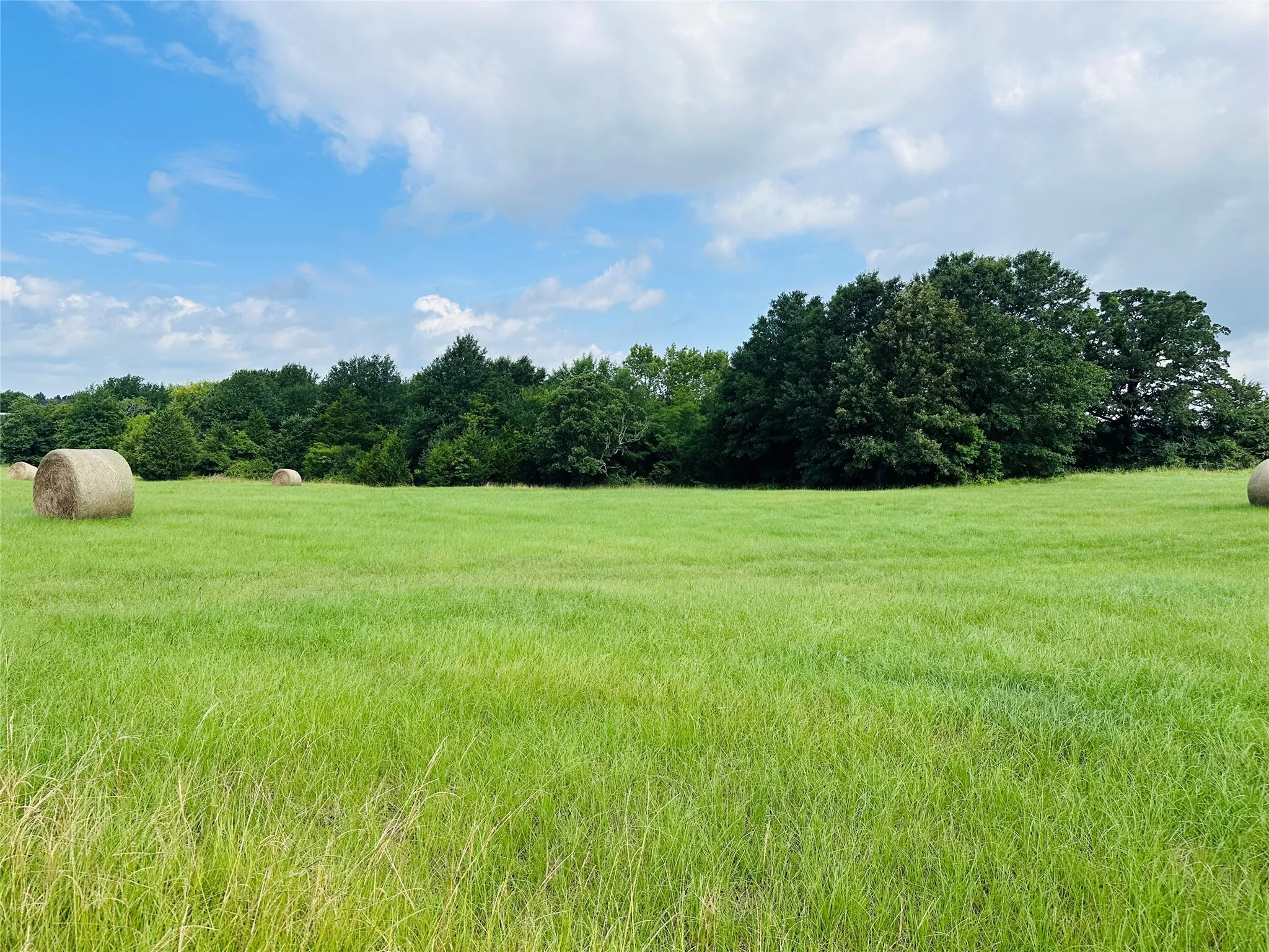 Unimproved Land For Sale in Henderson County , TBD Belles Lane, Brownsboro, Texas 75756, 0, 0, Garage spaces, 0 Sqft, built in 0, Price $425,000, mls#21304085, Real Estate Agent in Brownsboro, Homes For Sale in Henderson county, Homes For Sale in Brownsboro, Realtor in Brownsboro Texas, Real Estate Brokerage Independent Realty Texas, Luminita Cordes Realtor