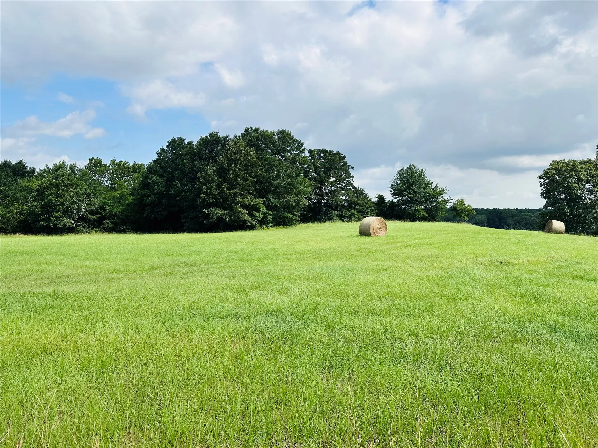 Unimproved Land For Sale in Henderson County , TBD Belles Lane, Brownsboro, Texas 75756, 0, 0, Garage spaces, 0 Sqft, built in 0, Price $425,000, mls#21304085, Real Estate Agent in Brownsboro, Homes For Sale in Henderson county, Homes For Sale in Brownsboro, Realtor in Brownsboro Texas, Real Estate Brokerage Independent Realty Texas, Luminita Cordes Realtor
