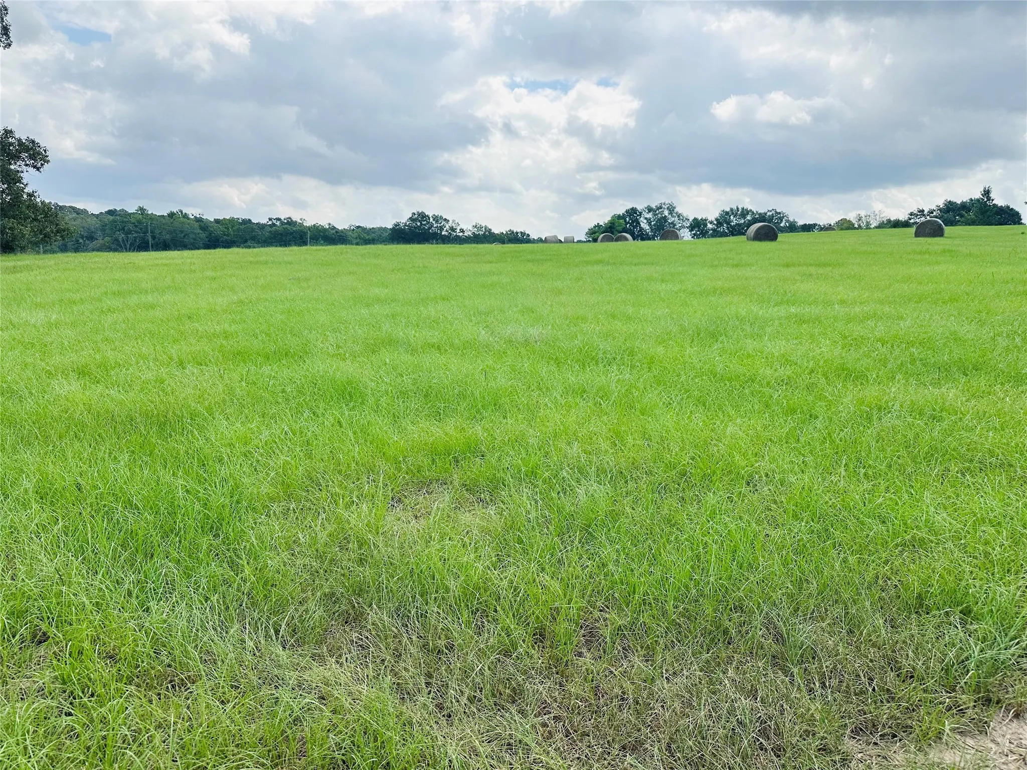 Unimproved Land For Sale in Henderson County , TBD Belles Lane, Brownsboro, Texas 75756, 0, 0, Garage spaces, 0 Sqft, built in 0, Price $425,000, mls#21304085, Real Estate Agent in Brownsboro, Homes For Sale in Henderson county, Homes For Sale in Brownsboro, Realtor in Brownsboro Texas, Real Estate Brokerage Independent Realty Texas, Luminita Cordes Realtor