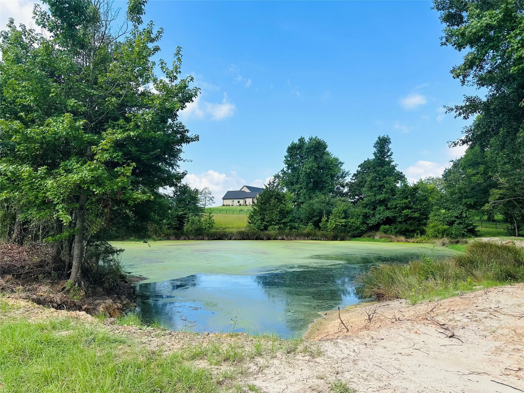 Unimproved Land For Sale in Henderson County , TBD Belles Lane, Brownsboro, Texas 75756, 0, 0, Garage spaces, 0 Sqft, built in 0, Price $425,000, mls#21304085, Real Estate Agent in Brownsboro, Homes For Sale in Henderson county, Homes For Sale in Brownsboro, Realtor in Brownsboro Texas, Real Estate Brokerage Independent Realty Texas, Luminita Cordes Realtor