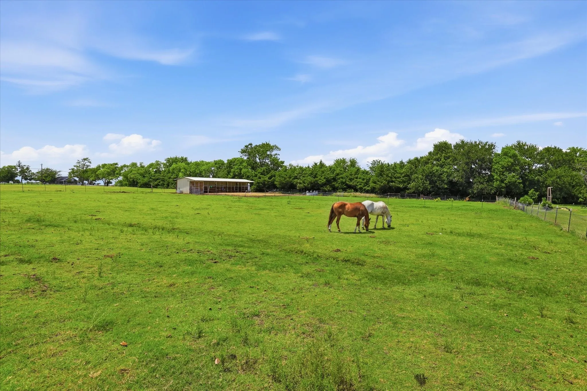 Single Family Residence For Sale in Grayson County , 89 Thornwood Lane, Van Alstyne, Texas 75495, 4 Bedroom, 4 Bathroom, 4 Garage spaces, 5,423 Sqft, built in 2018, mls#21304071, Real Estate Agent in Van Alstyne, Homes For Sale in Grayson county, Homes For Sale in Van Alstyne, Realtor in Van Alstyne Texas, Real Estate Brokerage Independent Realty Texas, Luminita Cordes Realtor