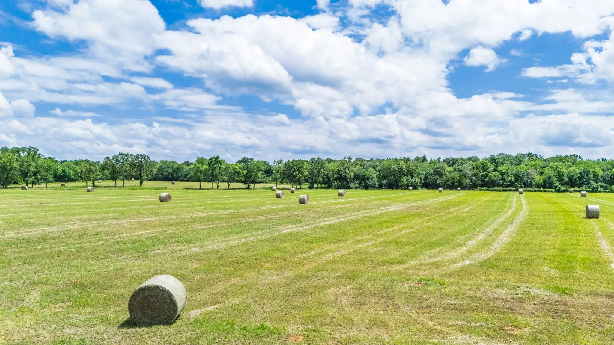 Productive hay fields or pasture