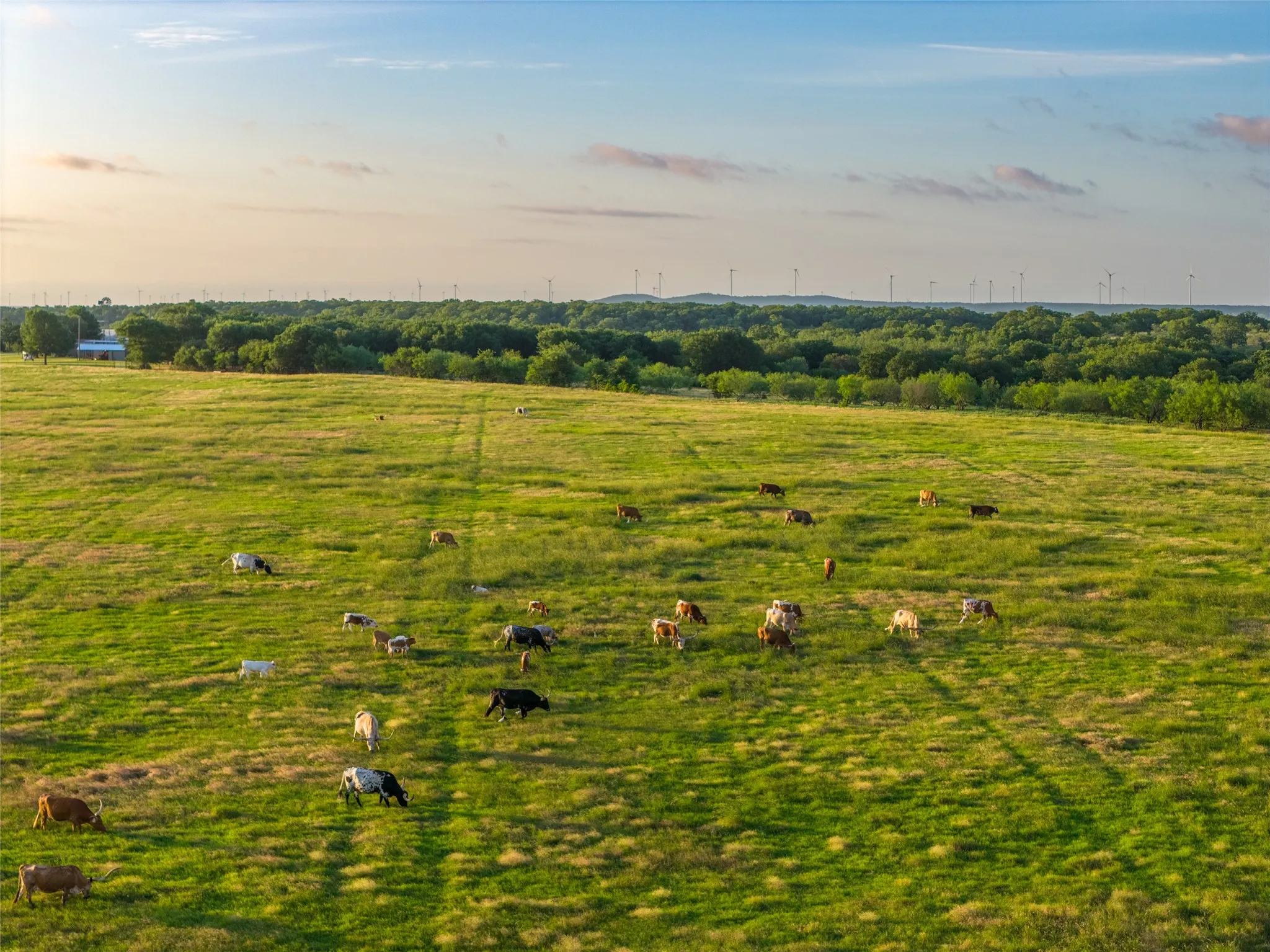 Ranch For Sale in Young County , 5908 Tx-16, Graham, Texas 76450, 0, 0, Garage spaces, 0 Sqft, built in 1998, mls#21304957, Real Estate Agent in Graham, Homes For Sale in Young county, Homes For Sale in Graham, Realtor in Graham Texas, Real Estate Brokerage Independent Realty Texas, Luminita Cordes Realtor