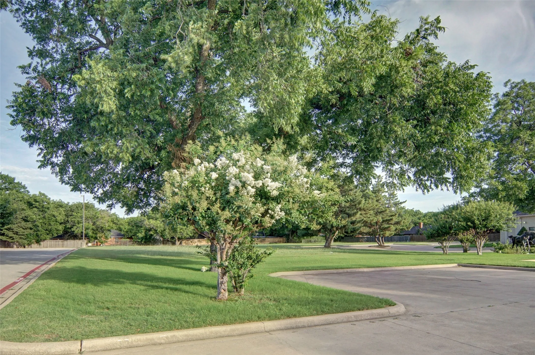 Several mature trees on the property.