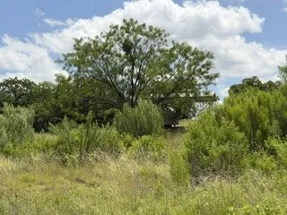 Improved Land For Sale in Stephens County , 6433 Pvt Rd 2101 Cove, Breckenridge, Texas 76424, 0, 0, Garage spaces, 0 Sqft, built in 2019, Price $229,000, mls#21304096, Real Estate Agent in Breckenridge, Homes For Sale in Stephens county, Homes For Sale in Breckenridge, Realtor in Breckenridge Texas, Real Estate Brokerage Independent Realty Texas, Luminita Cordes Realtor
