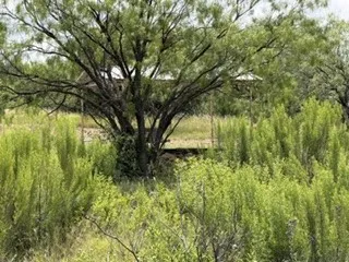 Improved Land For Sale in Stephens County , 6433 Pvt Rd 2101 Cove, Breckenridge, Texas 76424, 0, 0, Garage spaces, 0 Sqft, built in 2019, Price $229,000, mls#21304096, Real Estate Agent in Breckenridge, Homes For Sale in Stephens county, Homes For Sale in Breckenridge, Realtor in Breckenridge Texas, Real Estate Brokerage Independent Realty Texas, Luminita Cordes Realtor