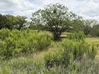 Improved Land For Sale in Stephens County , 6433 Pvt Rd 2101 Cove, Breckenridge, Texas 76424, 0, 0, Garage spaces, 0 Sqft, built in 2019, Price $229,000, mls#21304096, Real Estate Agent in Breckenridge, Homes For Sale in Stephens county, Homes For Sale in Breckenridge, Realtor in Breckenridge Texas, Real Estate Brokerage Independent Realty Texas, Luminita Cordes Realtor